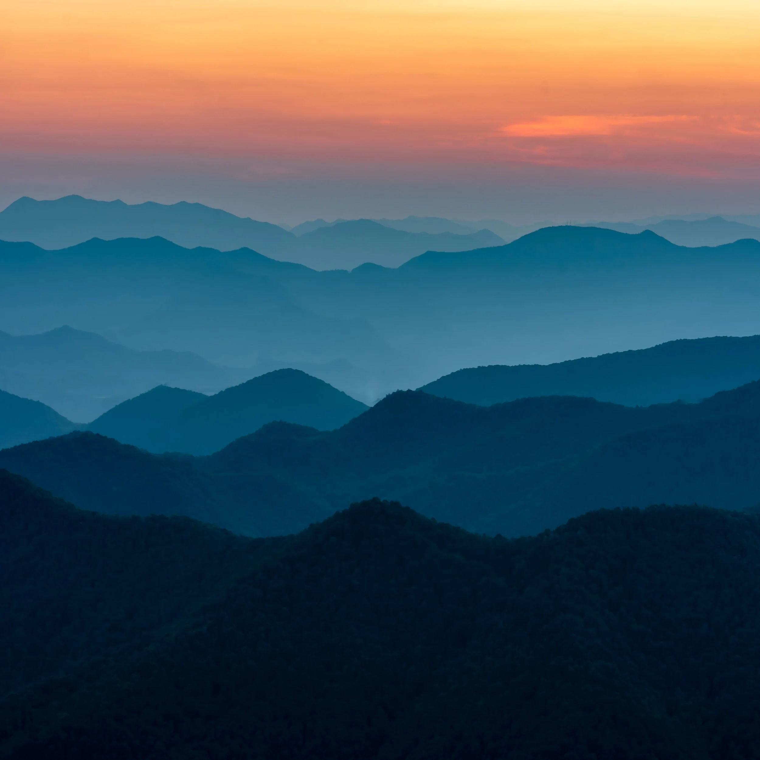 AdobeStock_299152395.jpeg