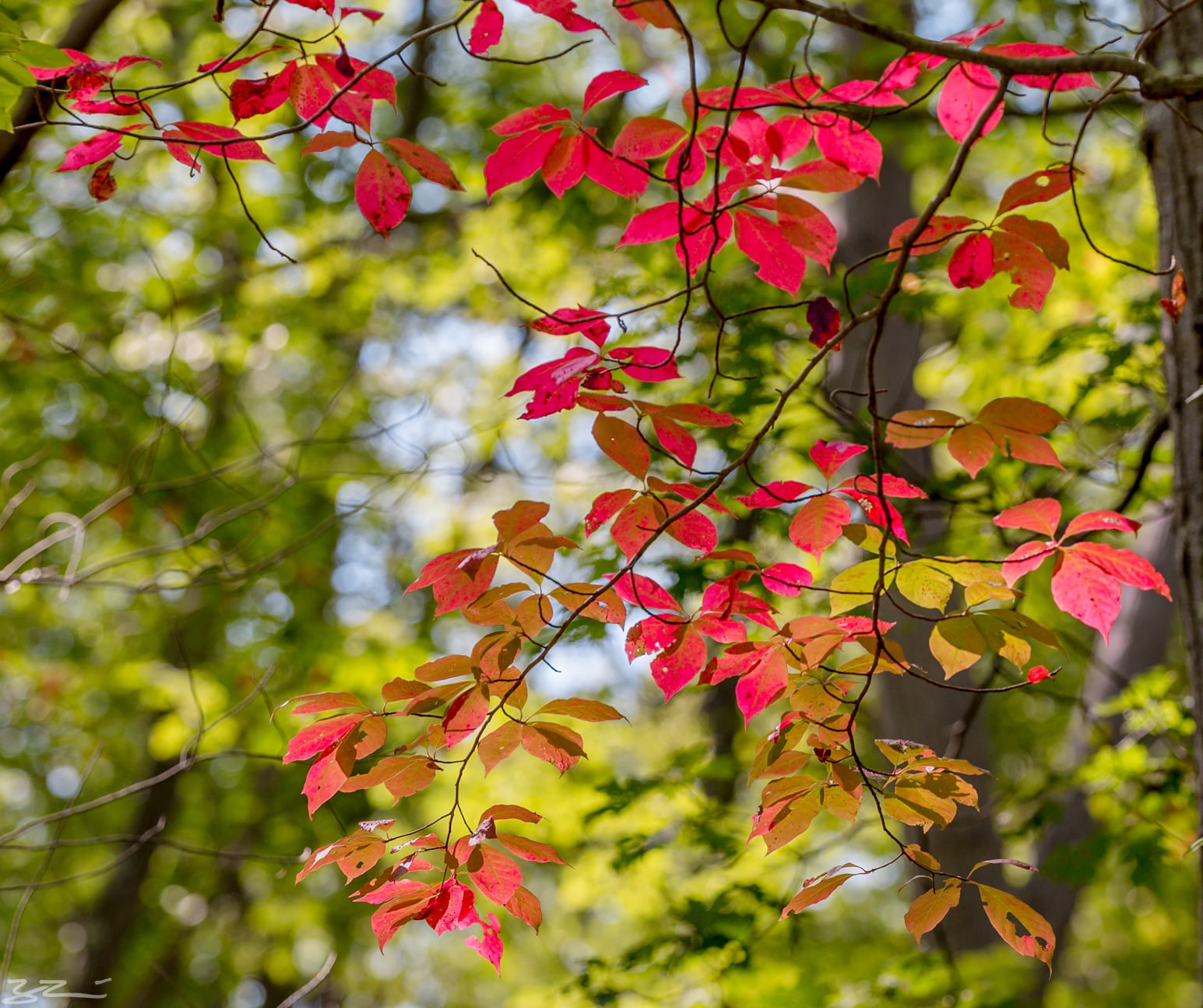 Hudson Valley Hiking: round into form