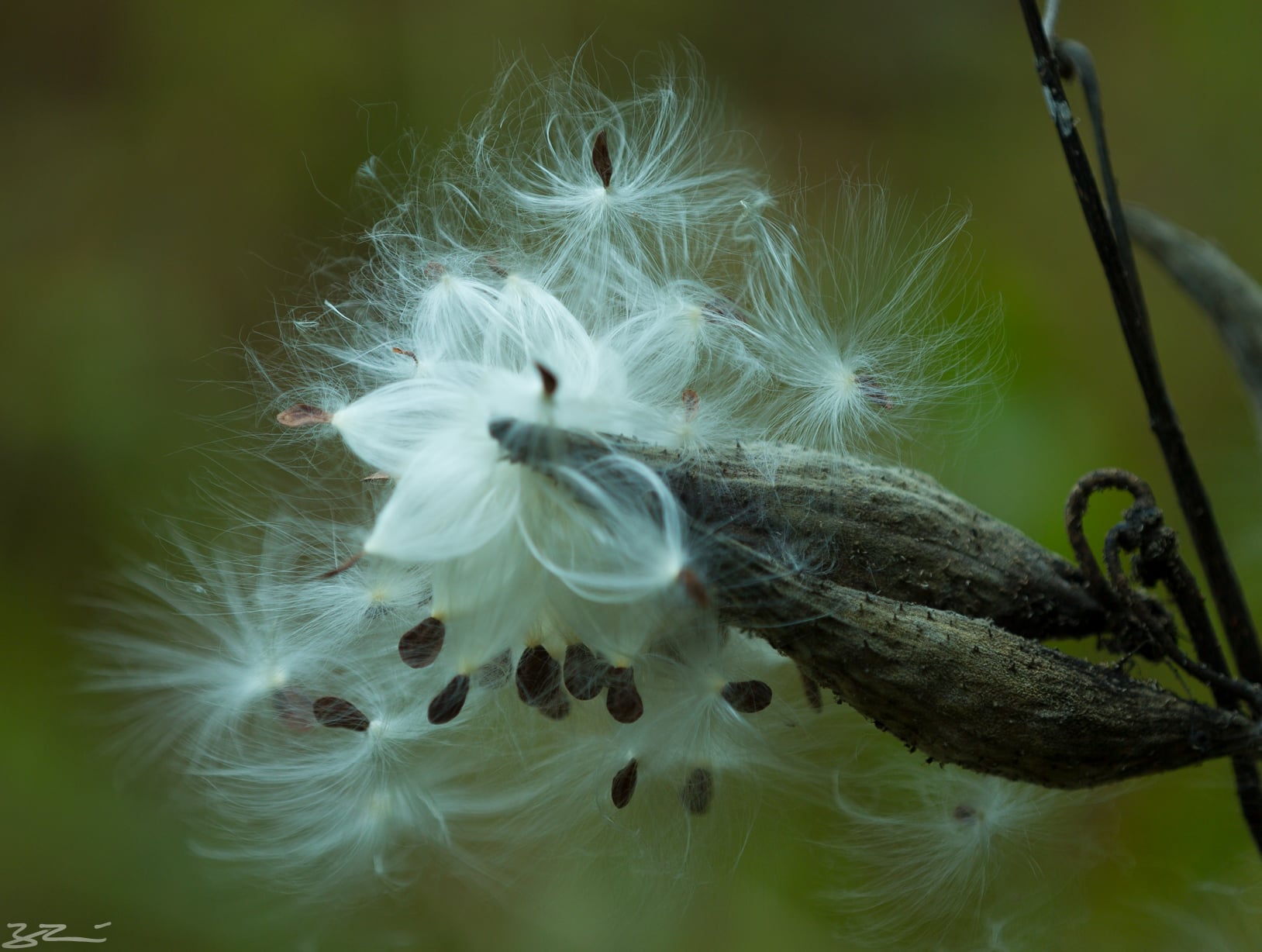 hudson vally hiking: wonders of late fall