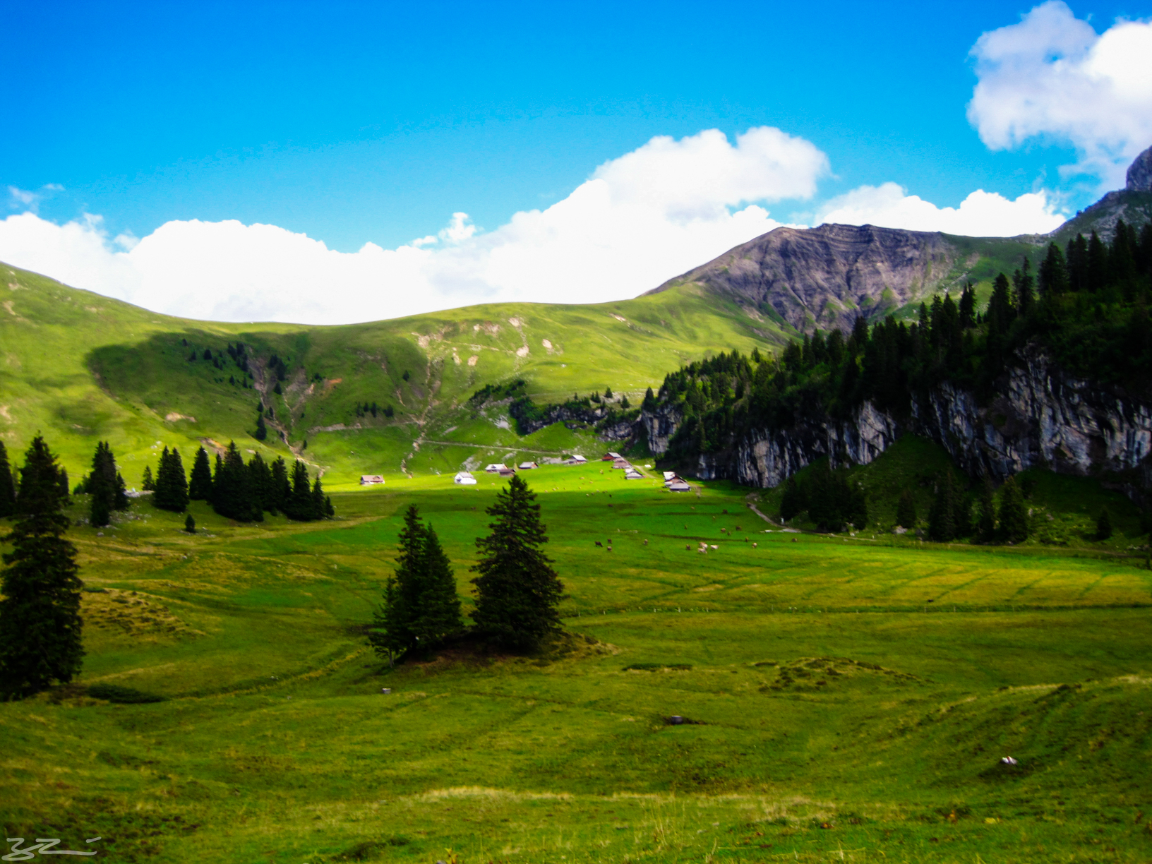 Endless slopes and green