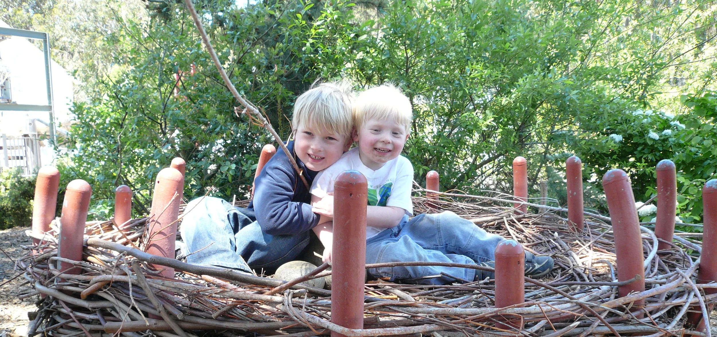 eli a jonas two birds 2.jpg