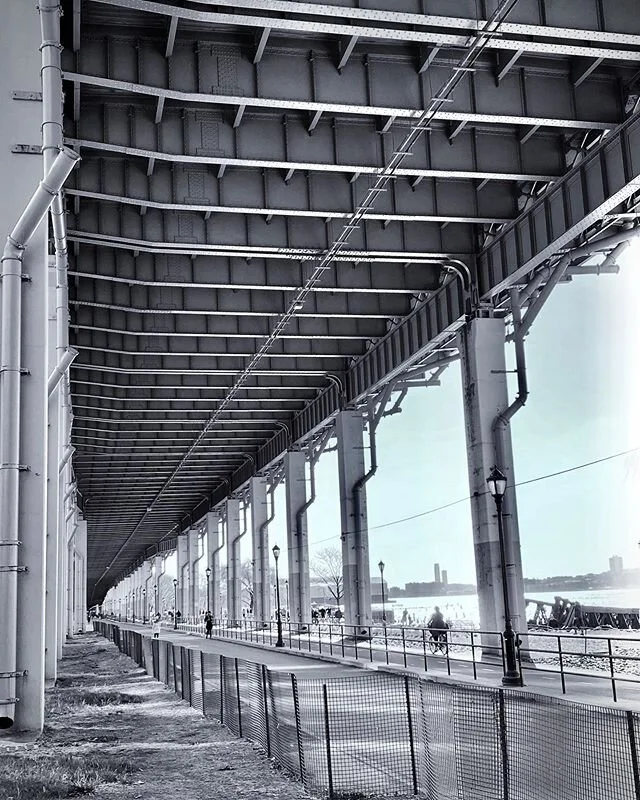 A standstill. Riverside Park, Harlem. &bull;-&bull;-&bull;
.
.
.
.
.
.
.
#photography #nyc #blackandwhitephotography #UpperWestSide #UWS #photooftheday #Harlem #WestHarlem #uptown #NYC #LifeOfAPhotographer