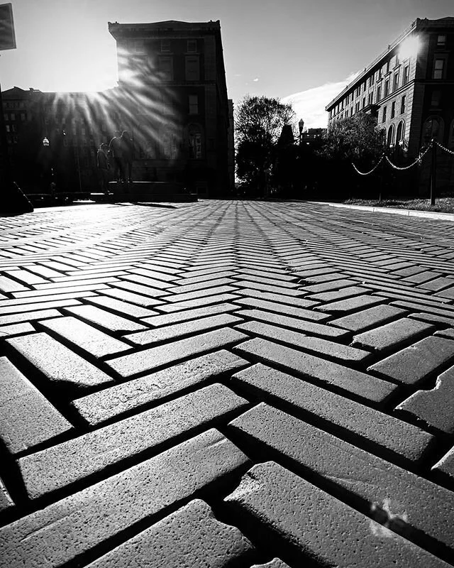 I just absolutely love chevron pattern anything and everything. Columbia University, Harlem. &bull;-&bull;-&bull;
.
.
.
.
.
.
.
#photography #blackandwhitephotography #quarantine #photooftheday #Harlem #NYC #ShotOniphone #Harlem #ColumbiaUniversity #