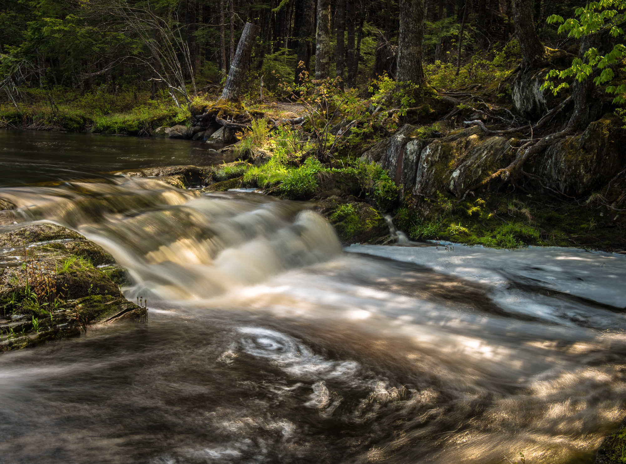 Mersey River