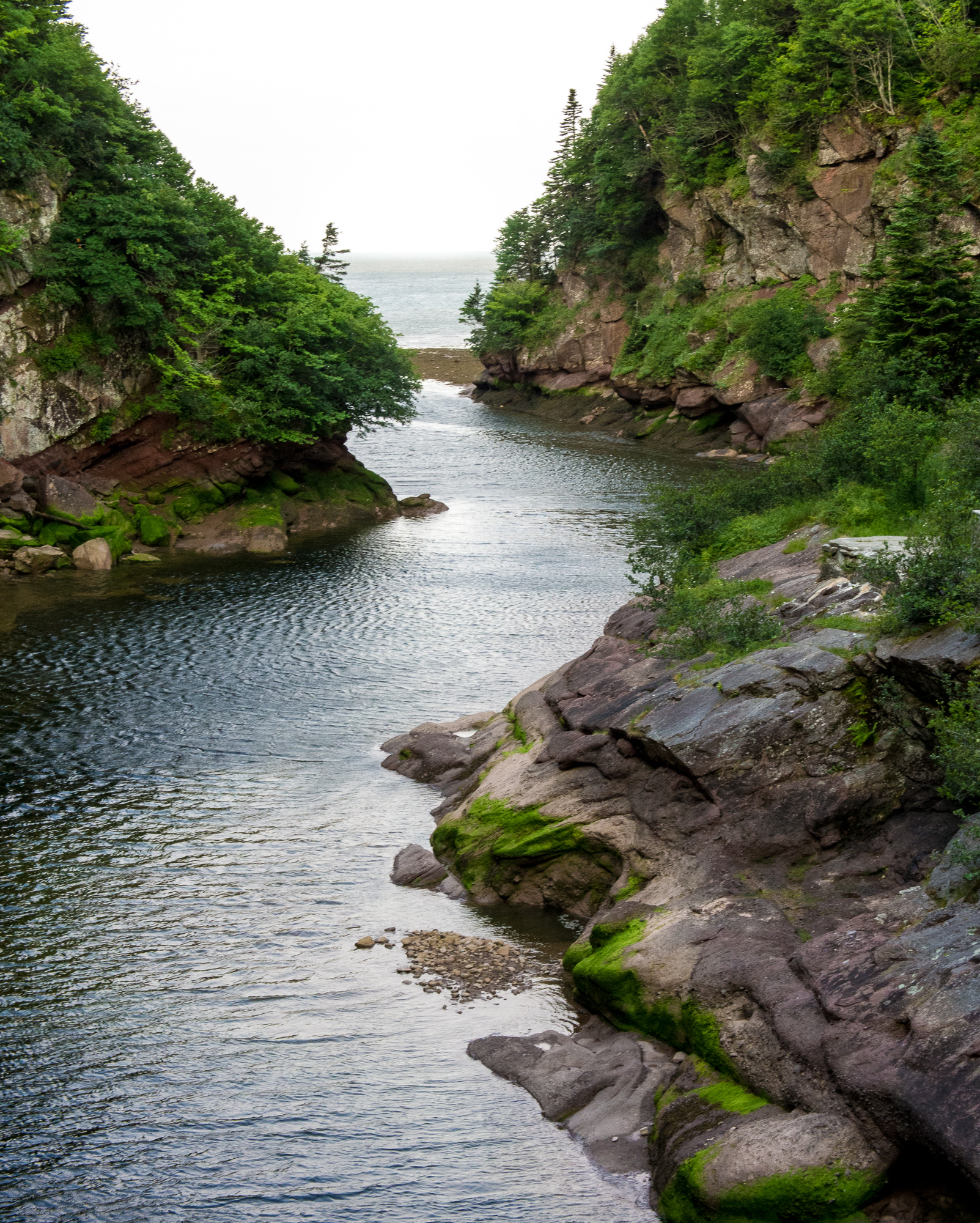 Fundy National Park, NB