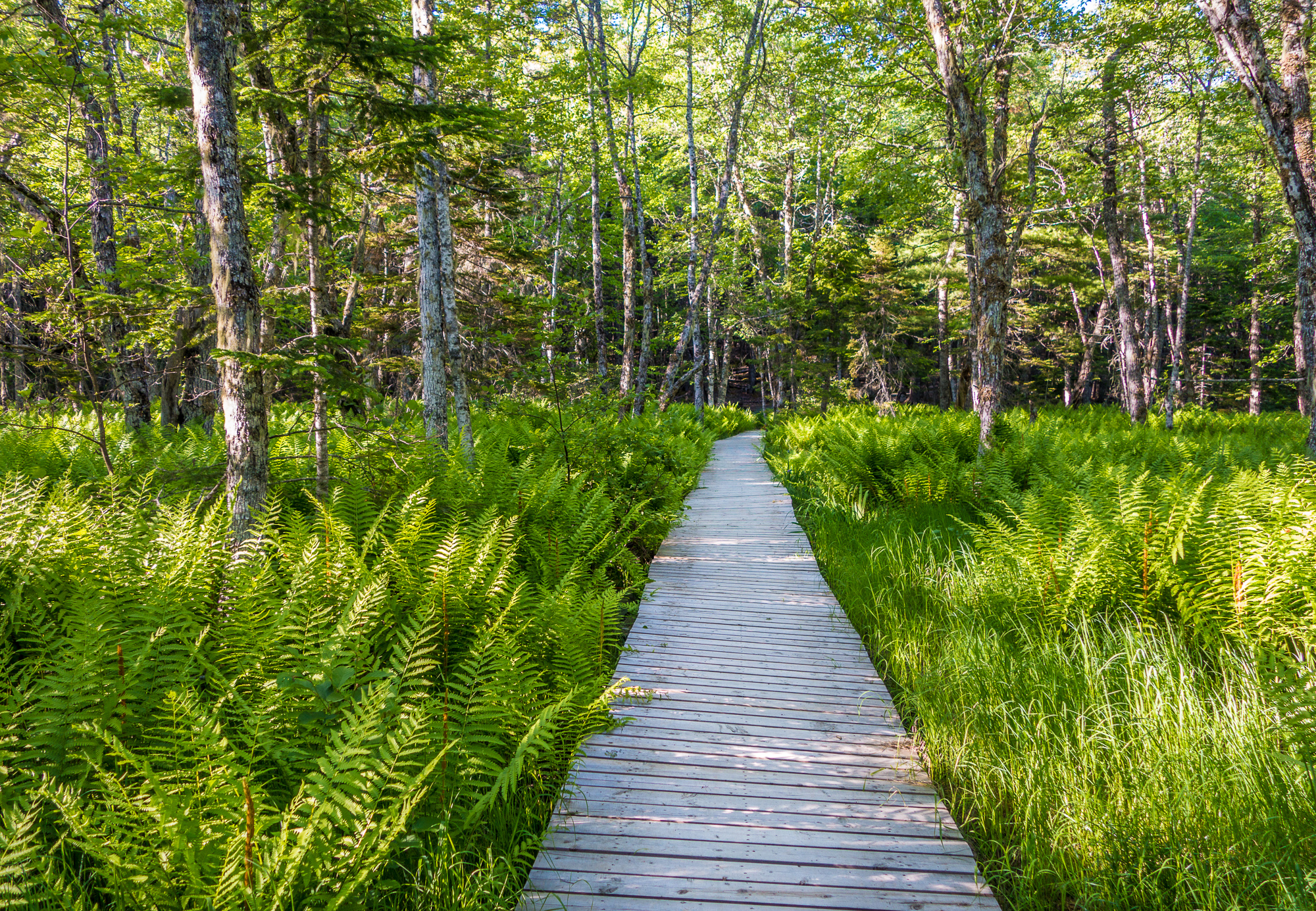 Kejimkujik National Park, Nova Scotia