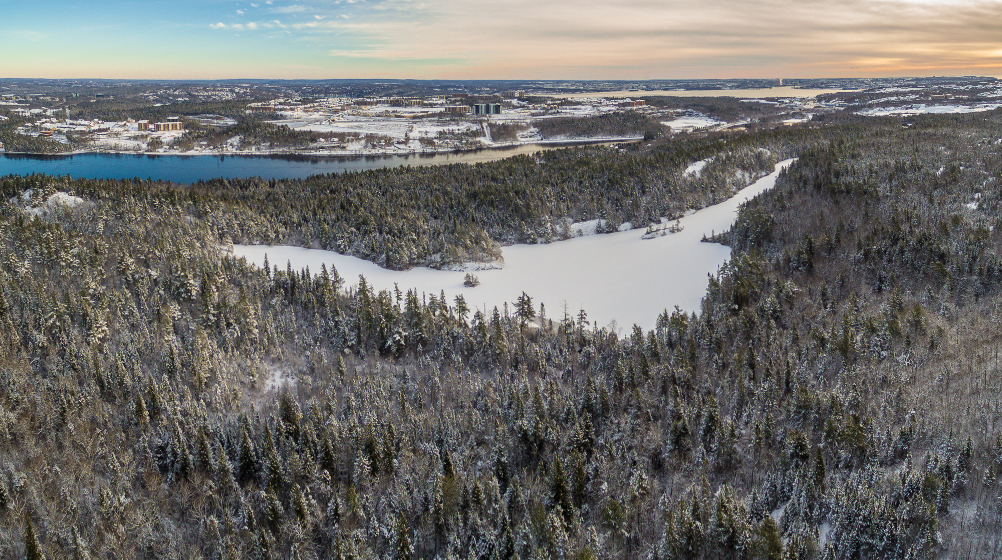 All this wilderness within the city limits of Halifax, Nova Scotia