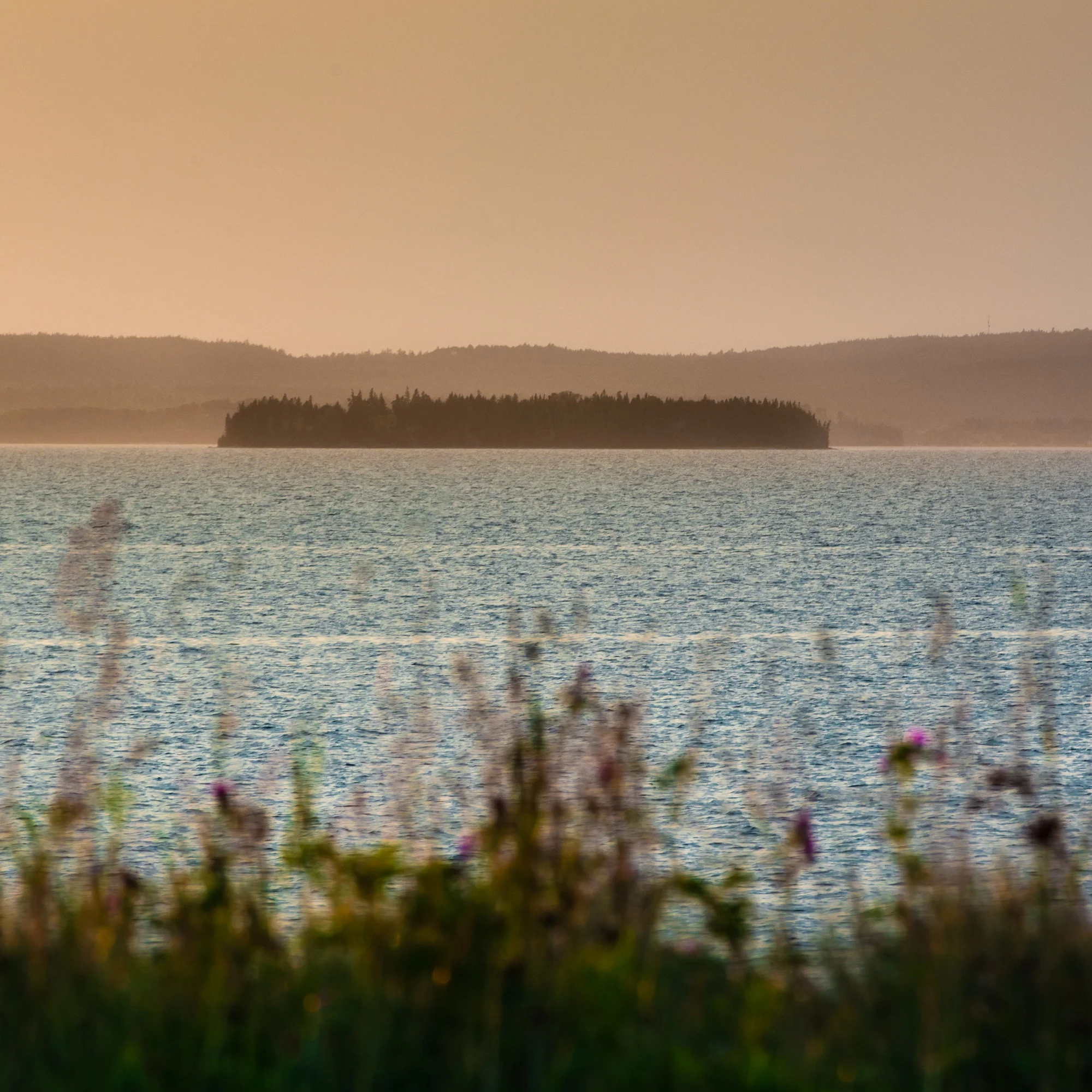 MJB_150730_107.jpg