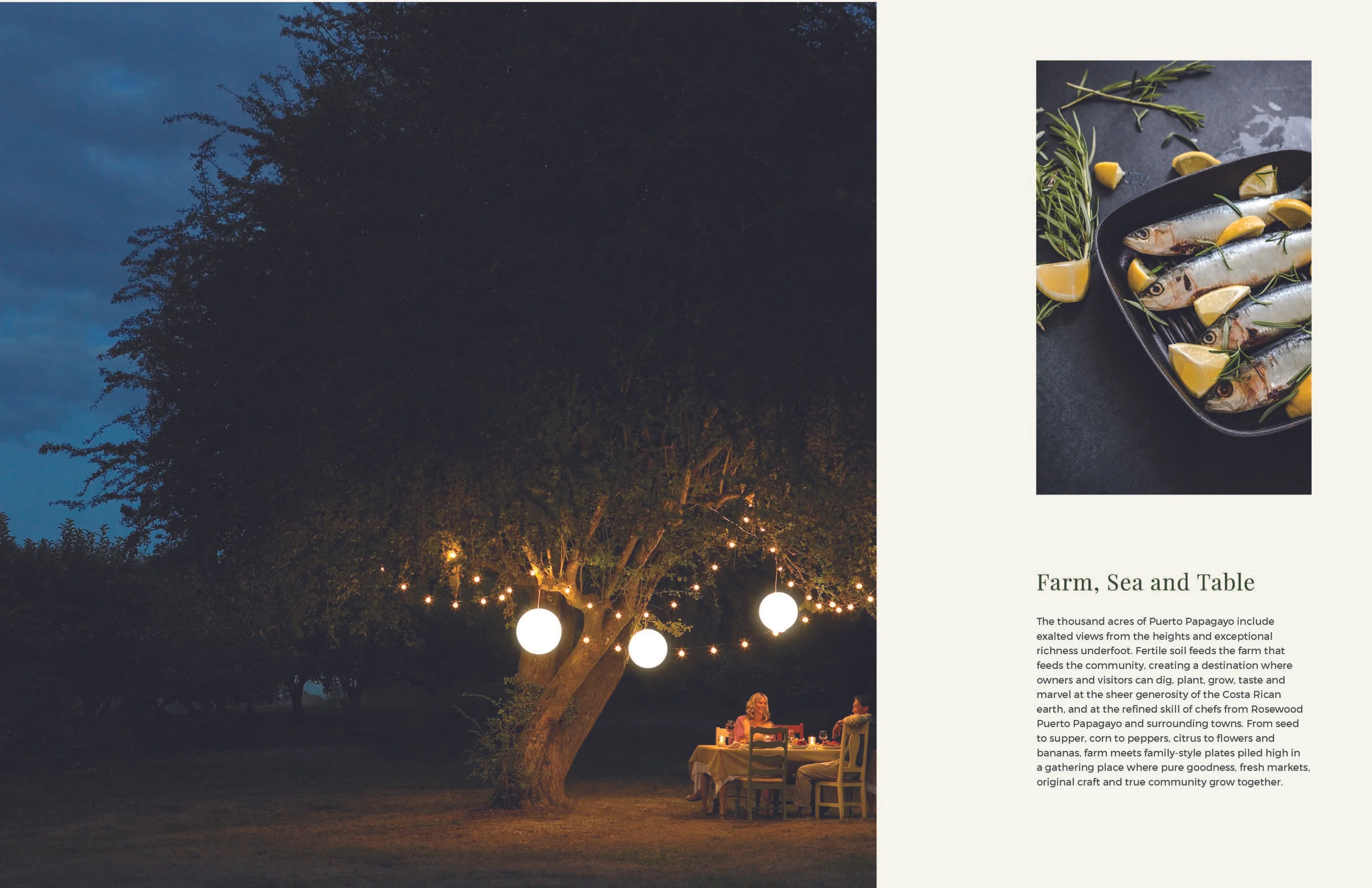 17113-ALD-Puerto Papagayo eBrochure-FINAL_Page_10.jpg