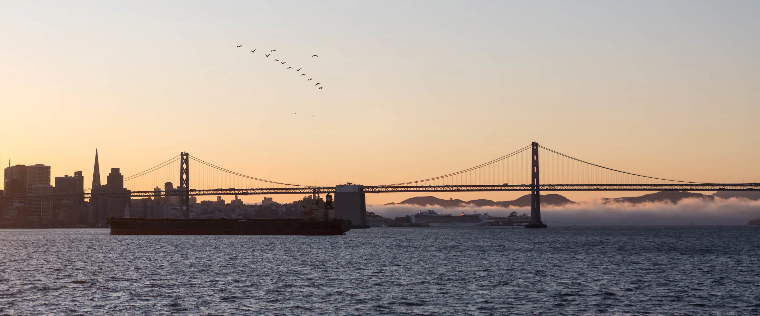 SF Cruise-20.JPG