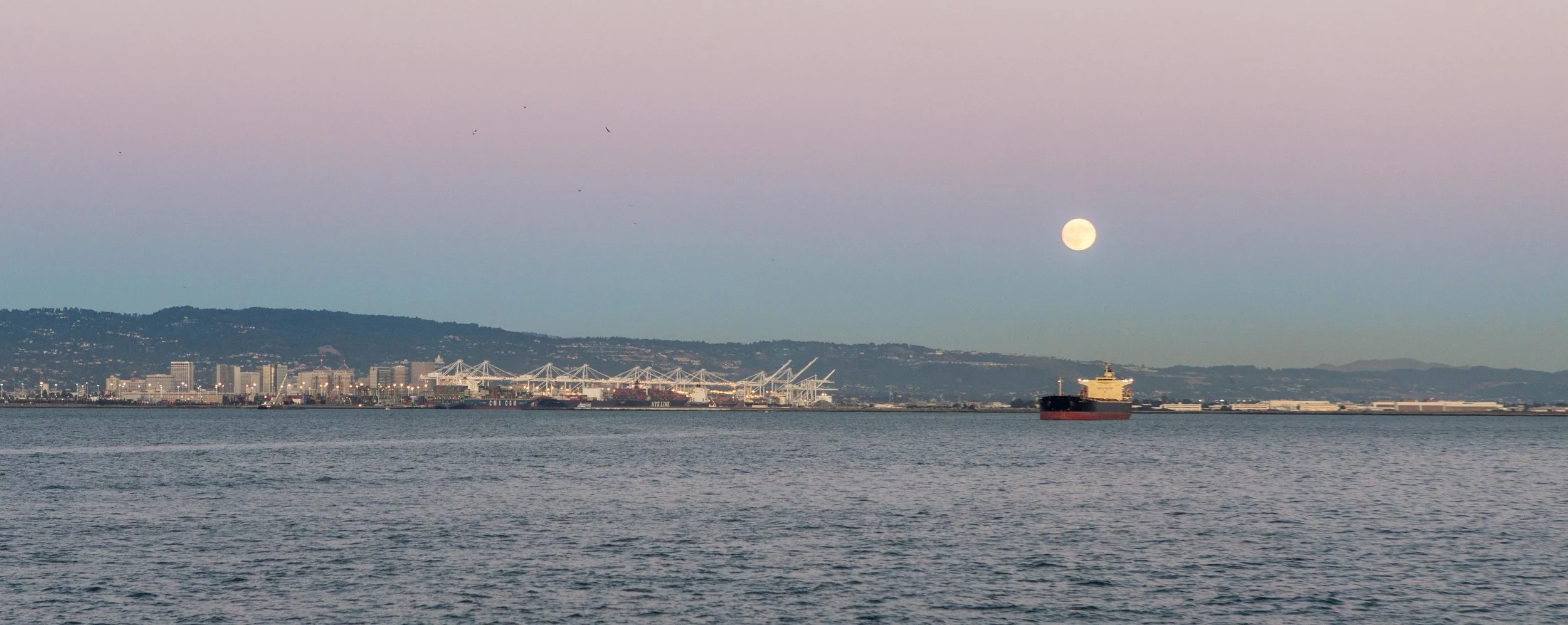 SF Cruise-29.JPG