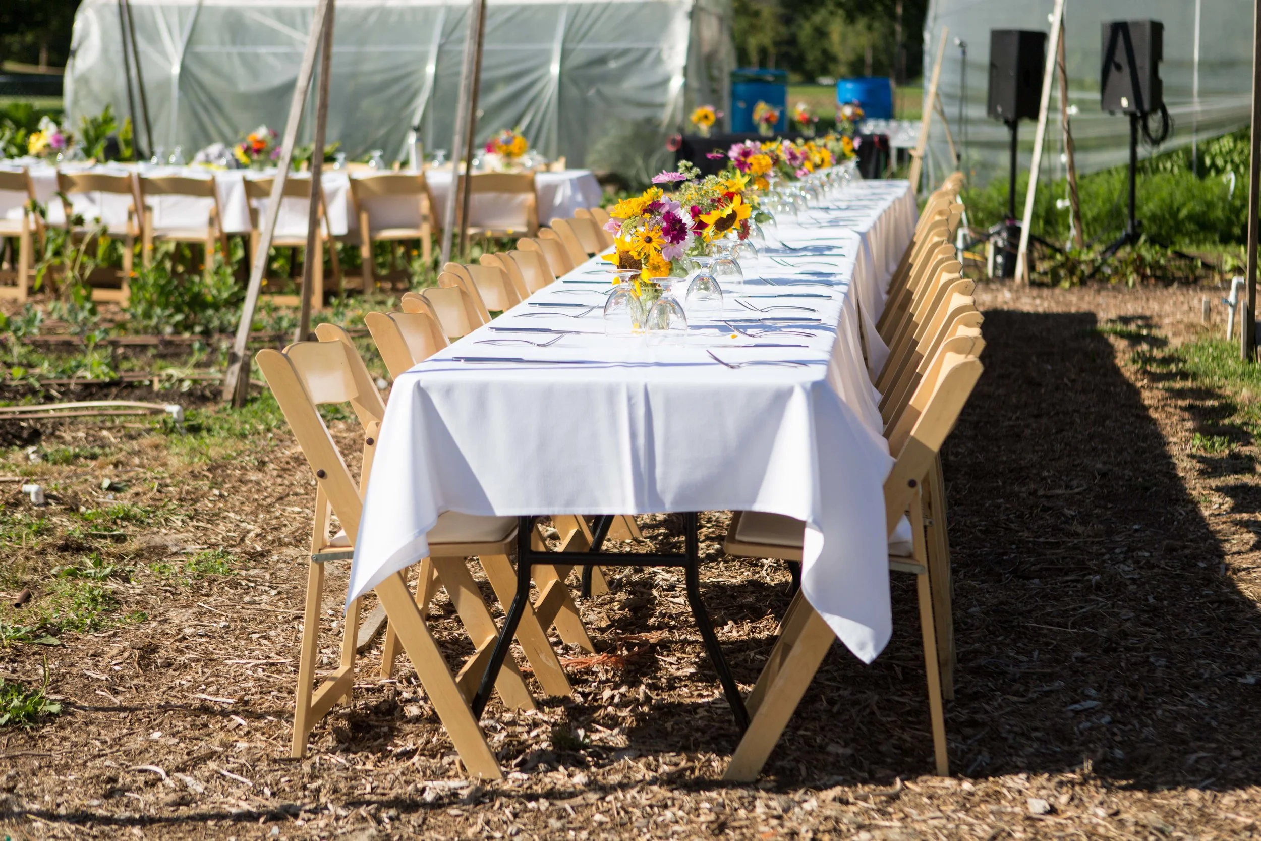 Farm to Feast-4.jpg