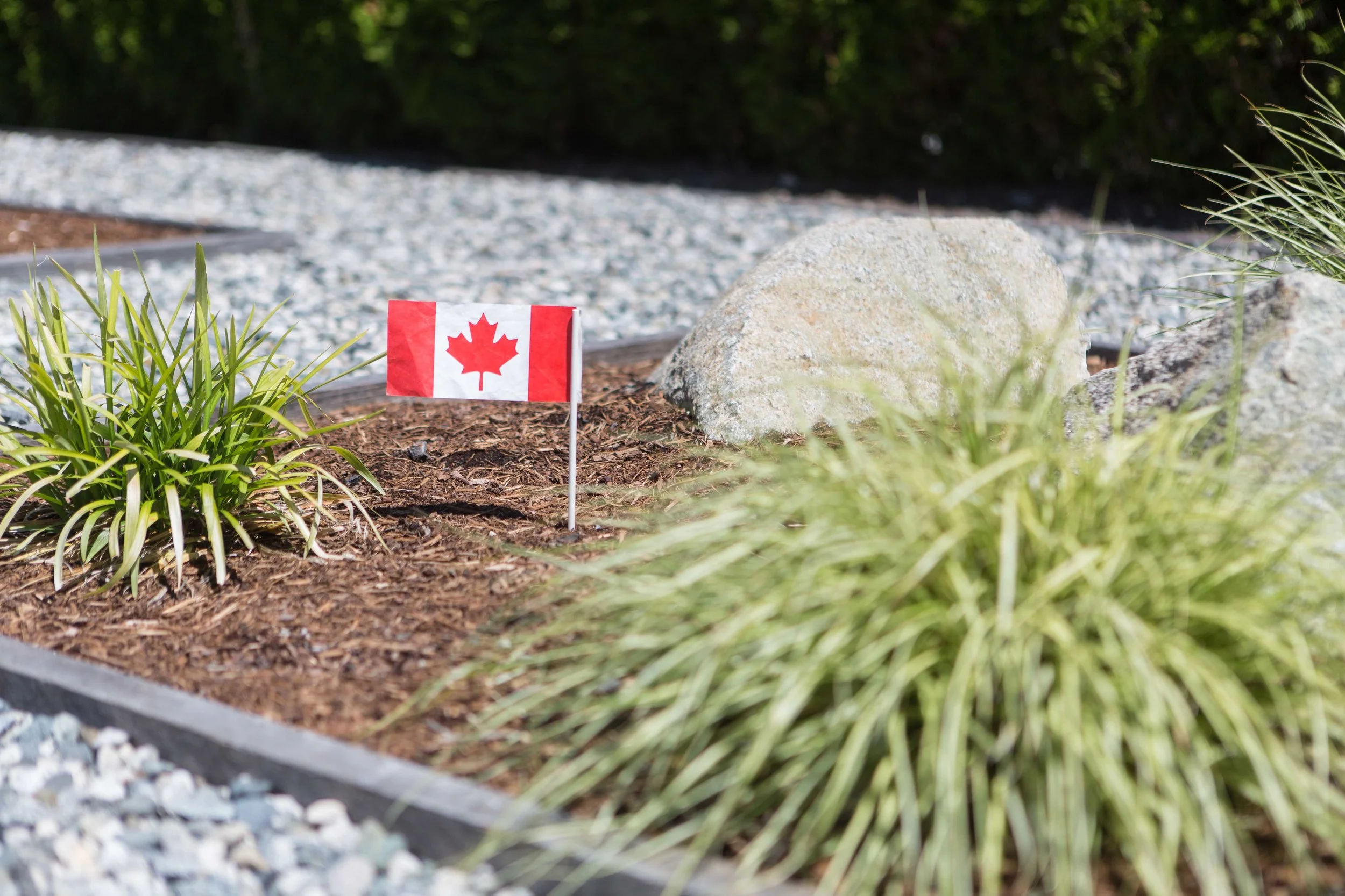 Canada Day 2018-140.JPG