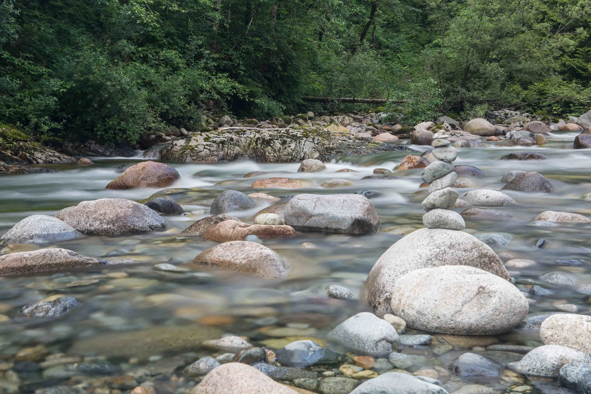 Lynn Canyon-10.JPG