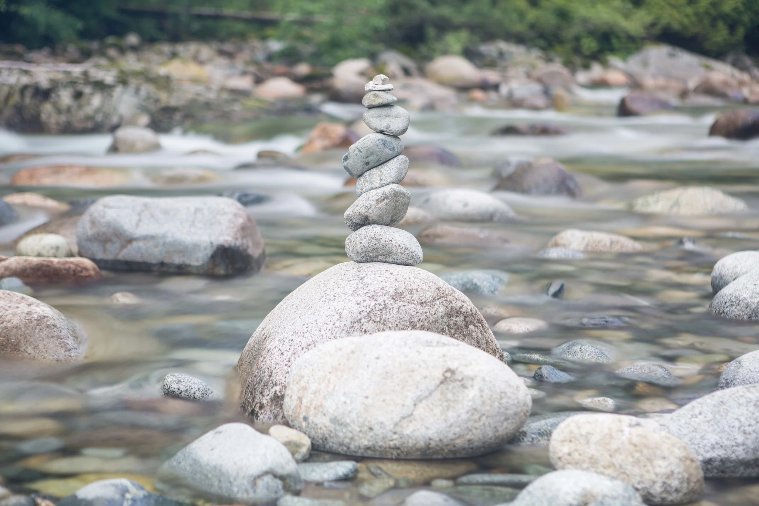 Lynn Canyon-11.JPG