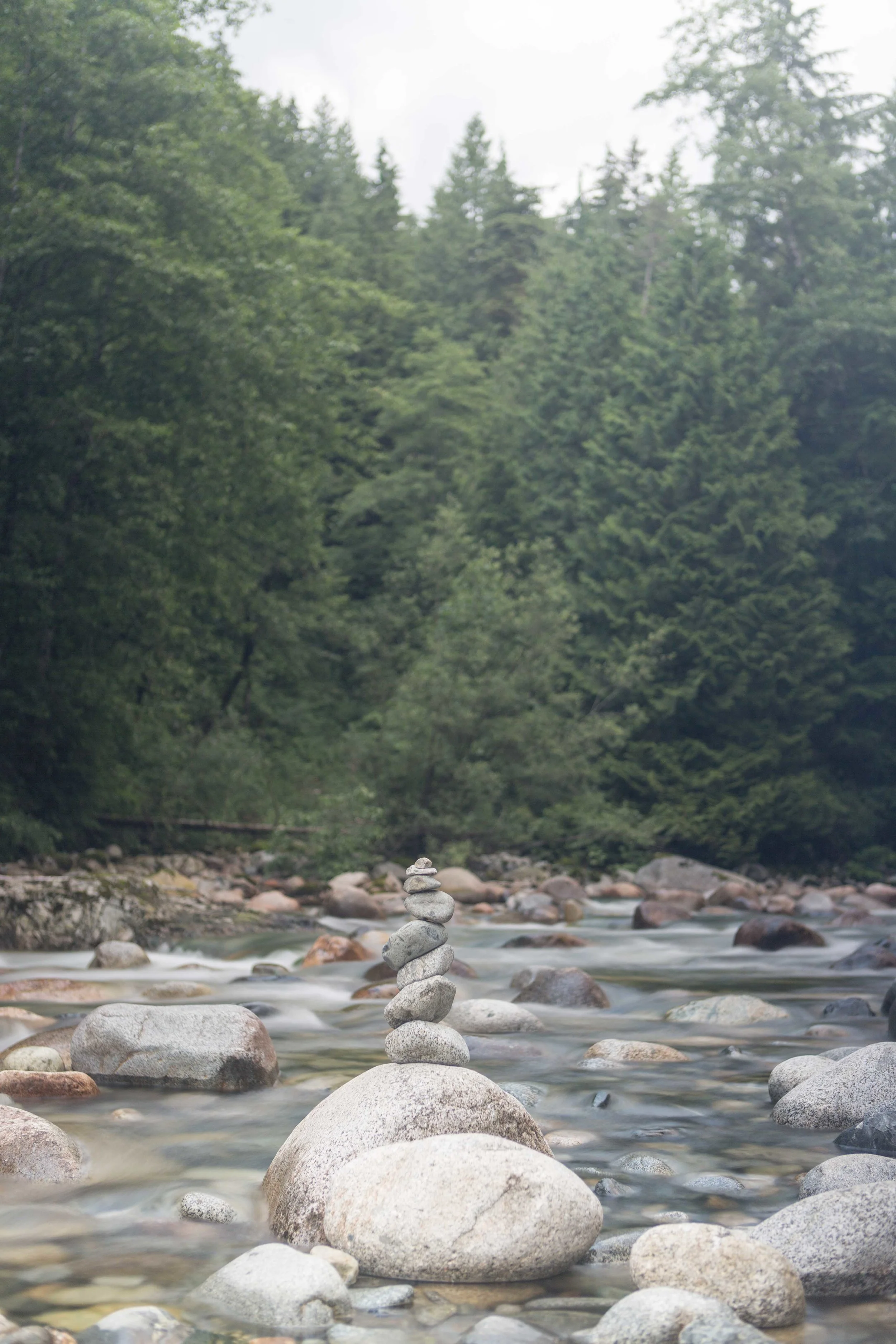 Lynn Canyon-12.JPG