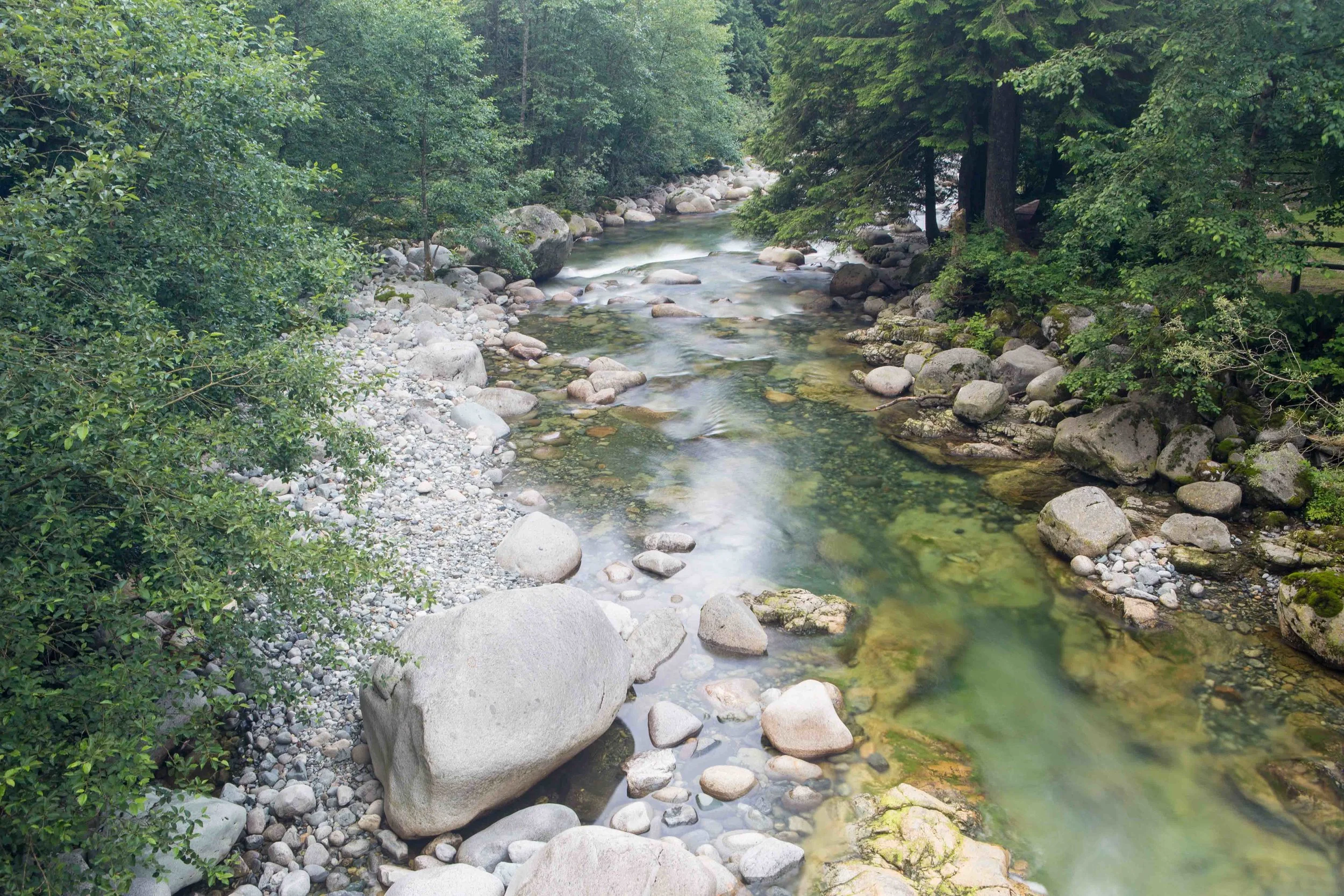 Lynn Canyon-17.JPG