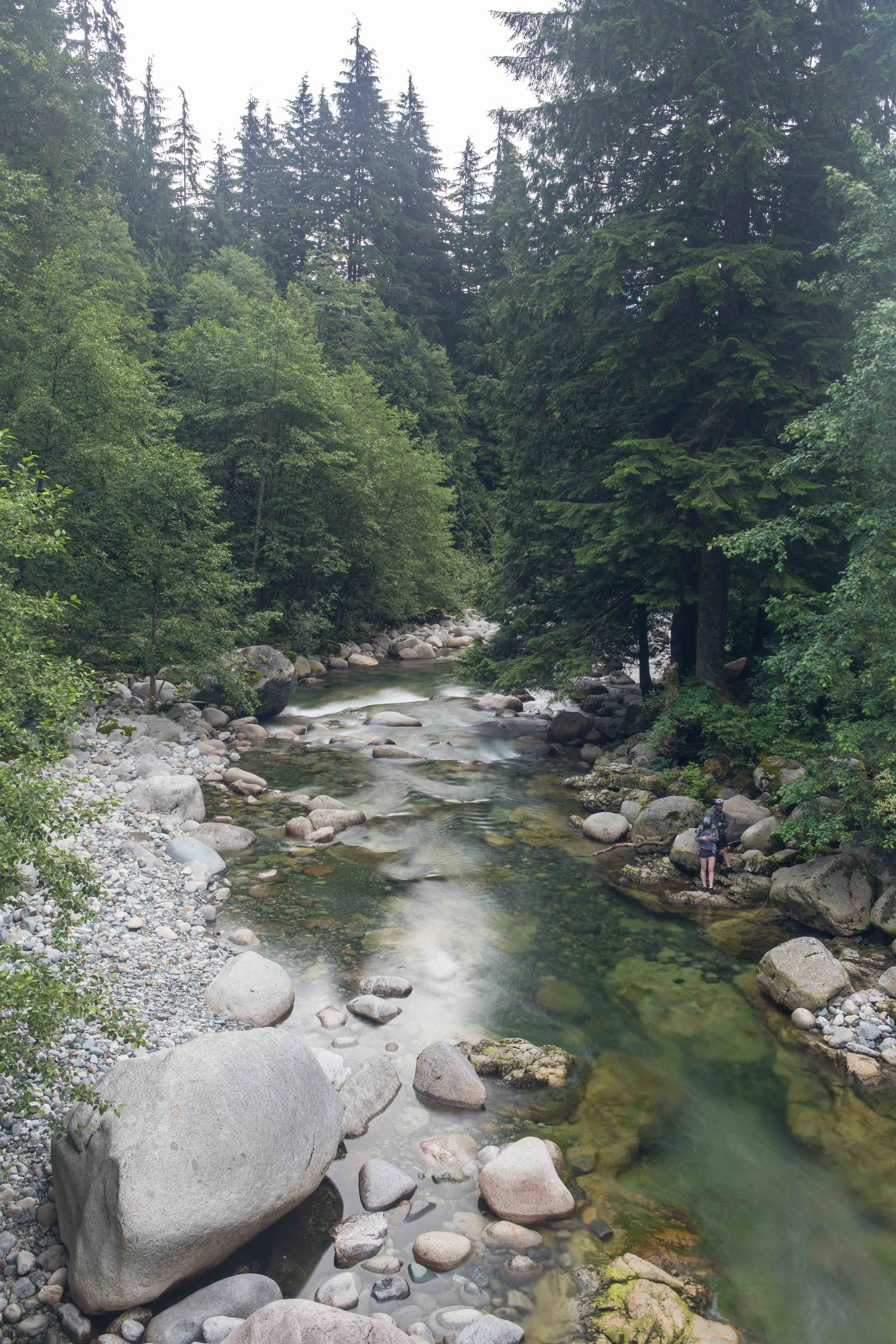 Lynn Canyon-18.JPG