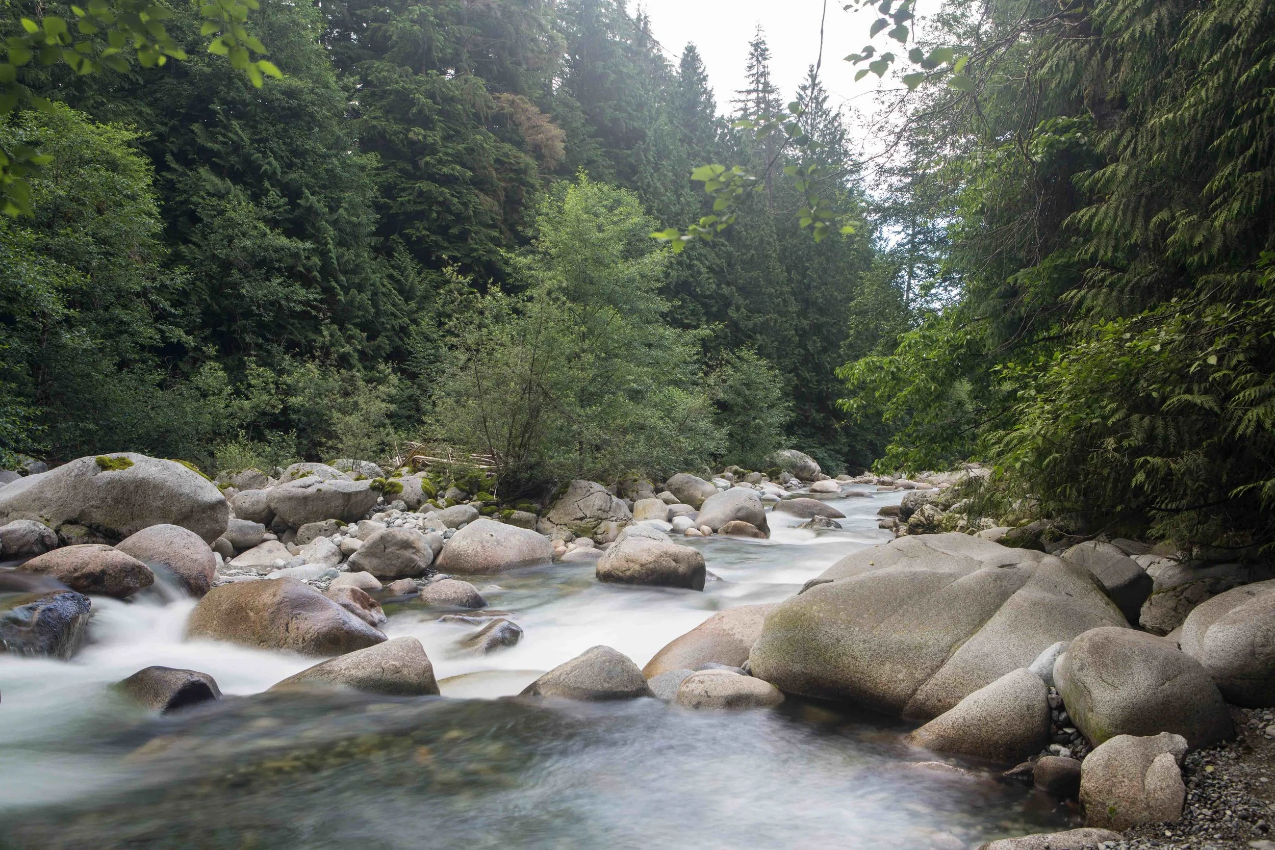 Lynn Canyon-19.JPG