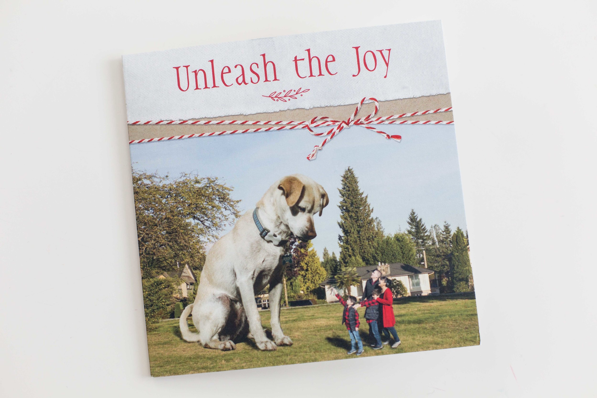 Xmas card-1.JPG