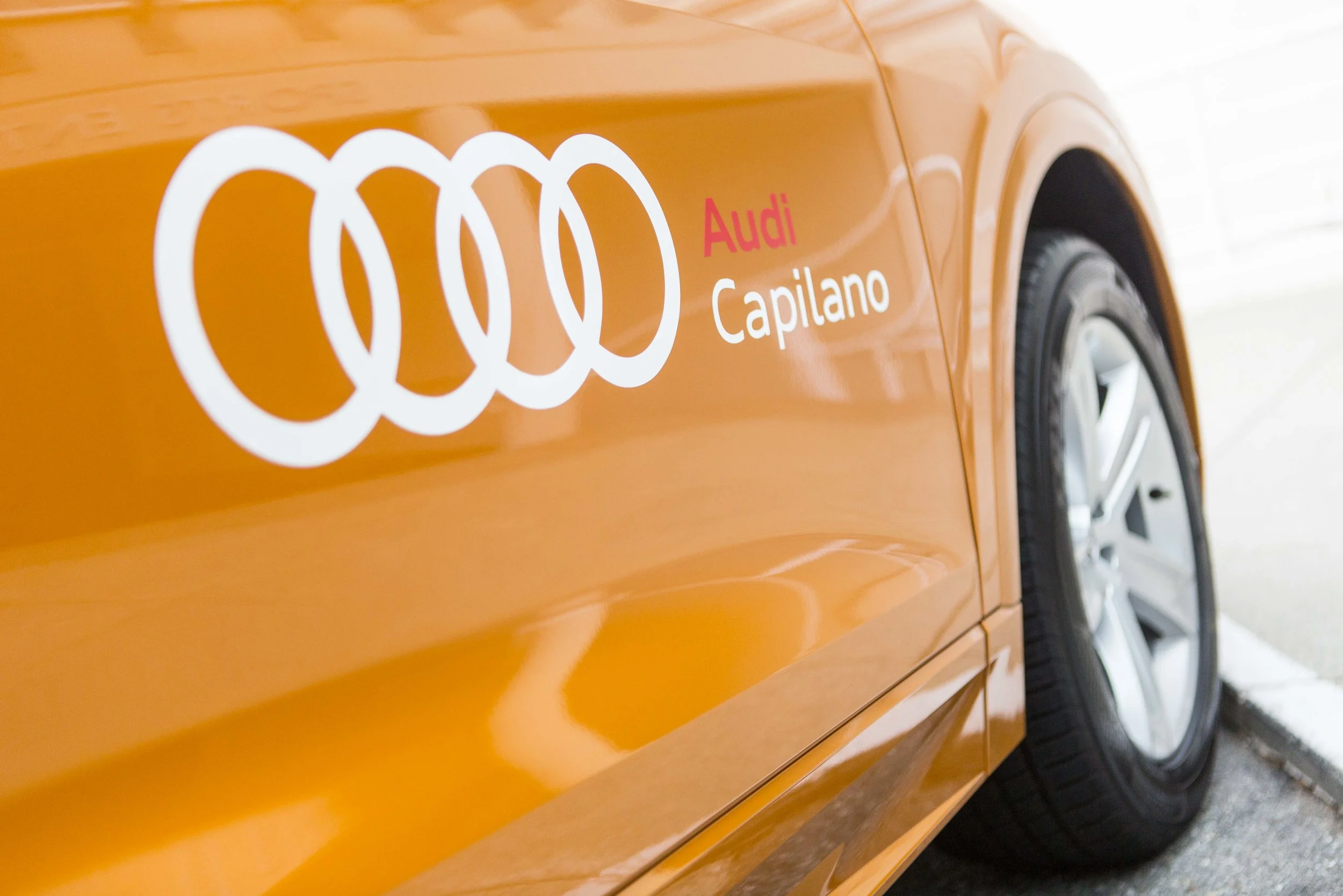 A4K - 2019 Gala-23.JPG