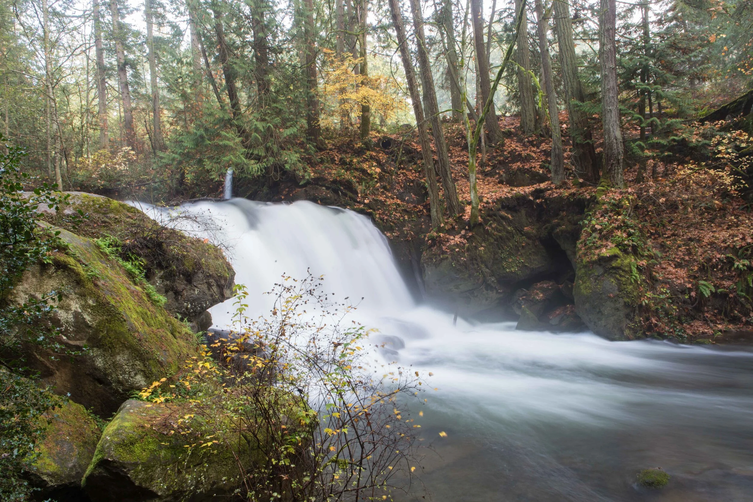 Whatcom Falls-4.JPG