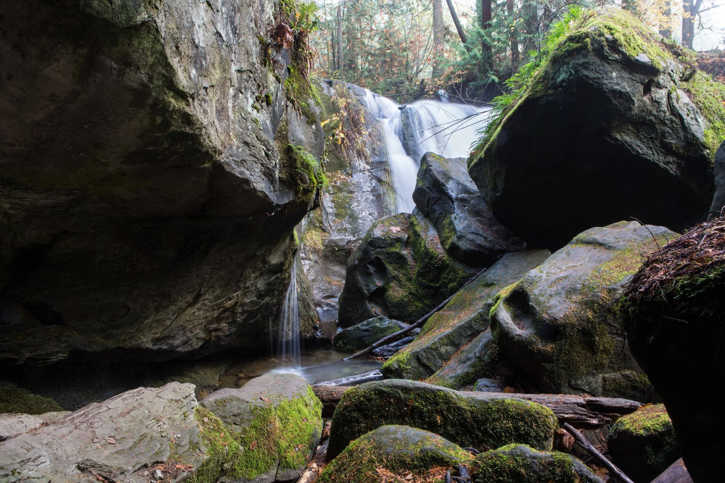 Whatcom Falls-6.JPG