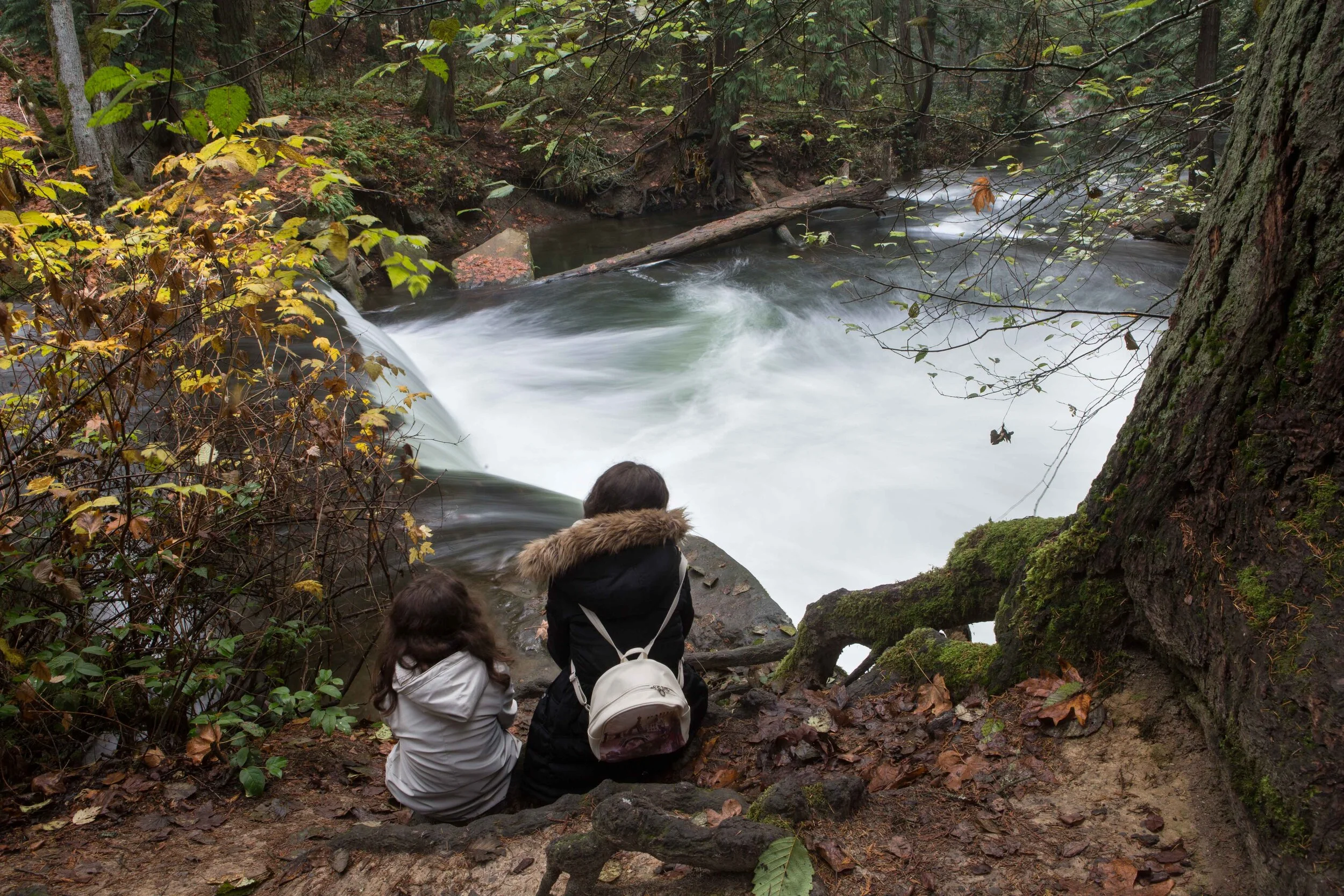 Whatcom Falls-10.JPG