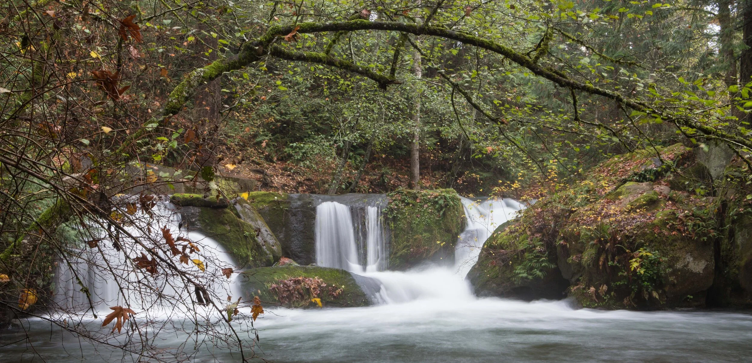 Whatcom Falls-11.JPG