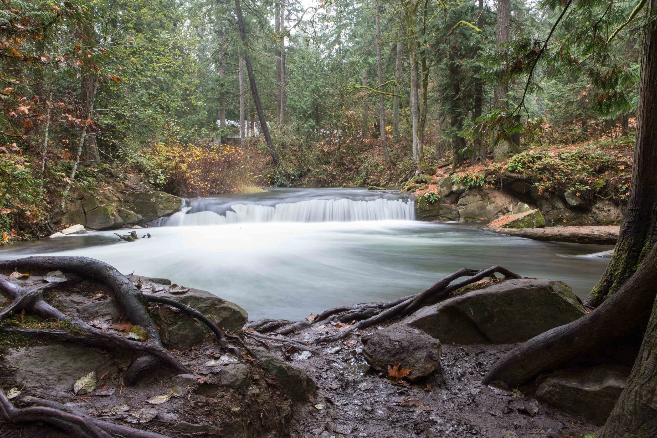 Whatcom Falls-9.JPG