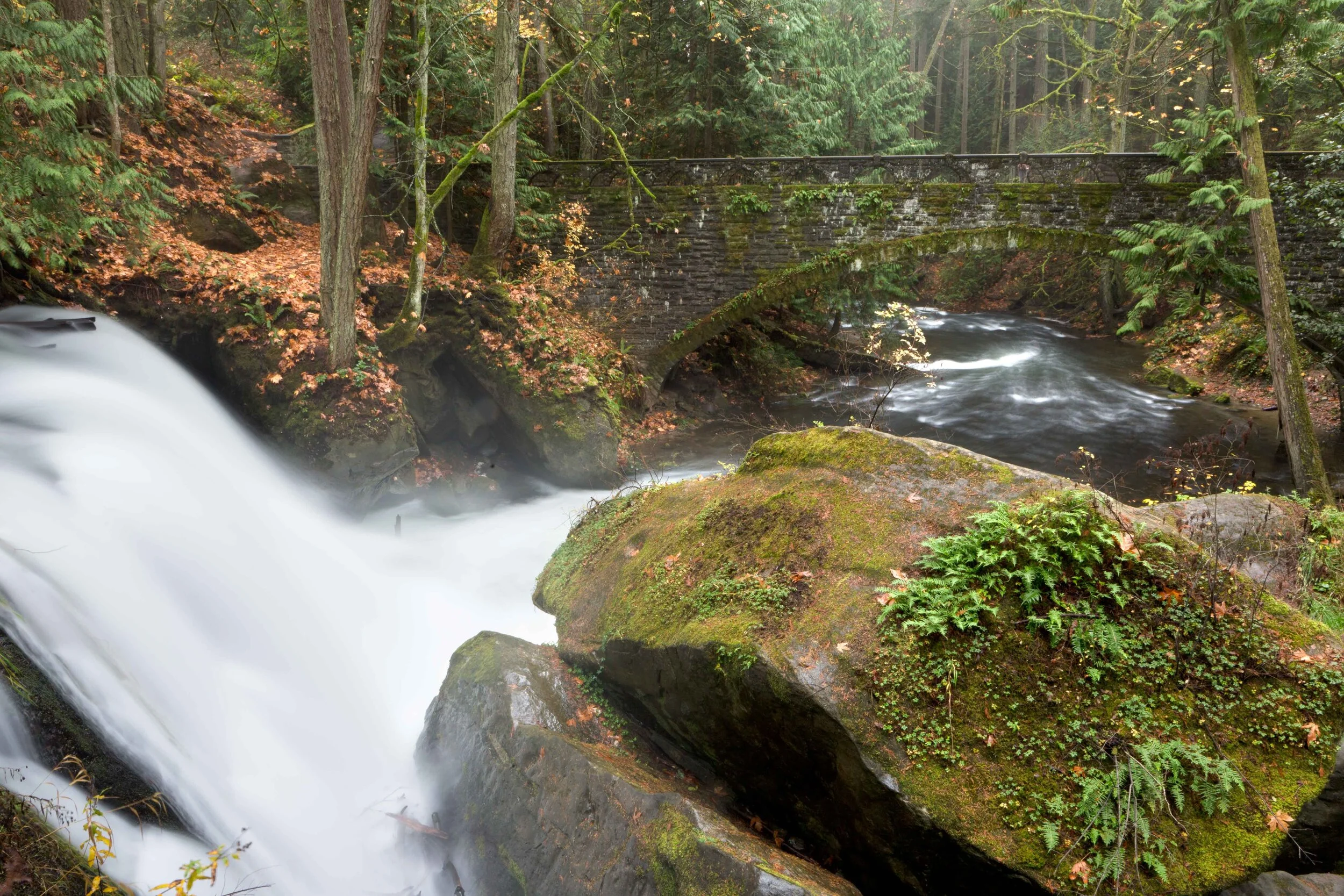 Whatcom Falls-8.JPG