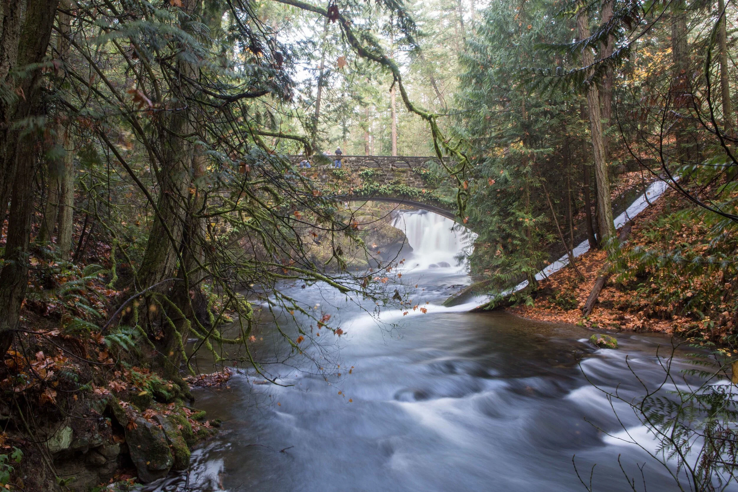 Whatcom Falls-3.JPG