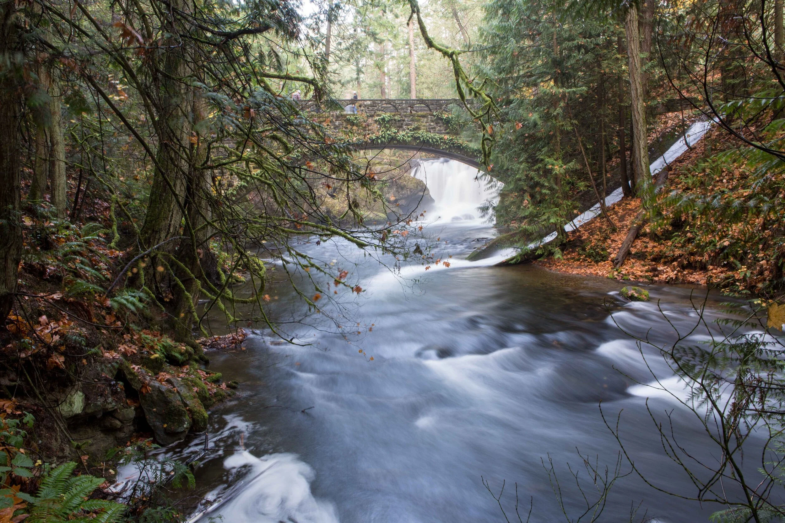 Whatcom Falls-2.JPG