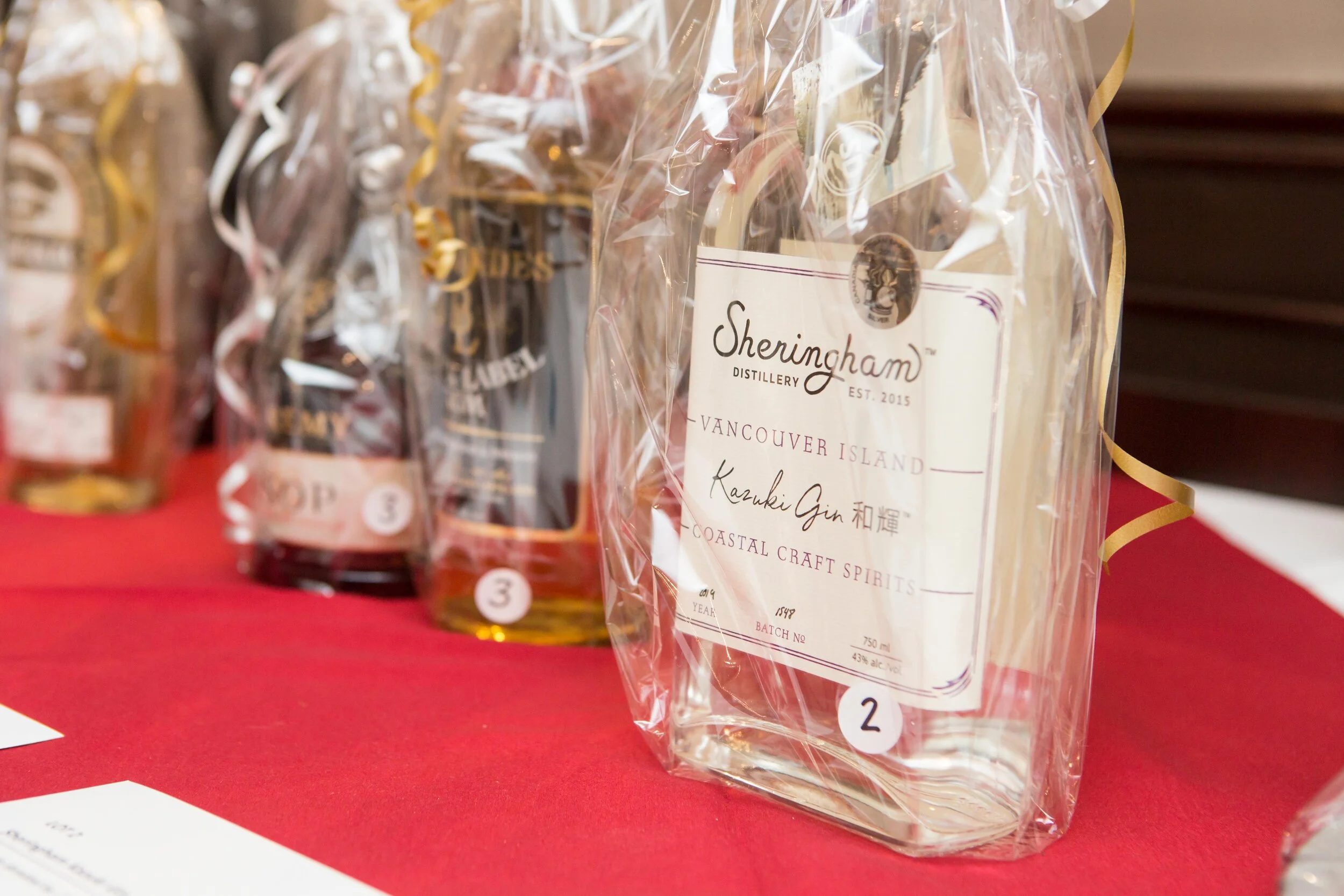 Physician's Gala-22.JPG