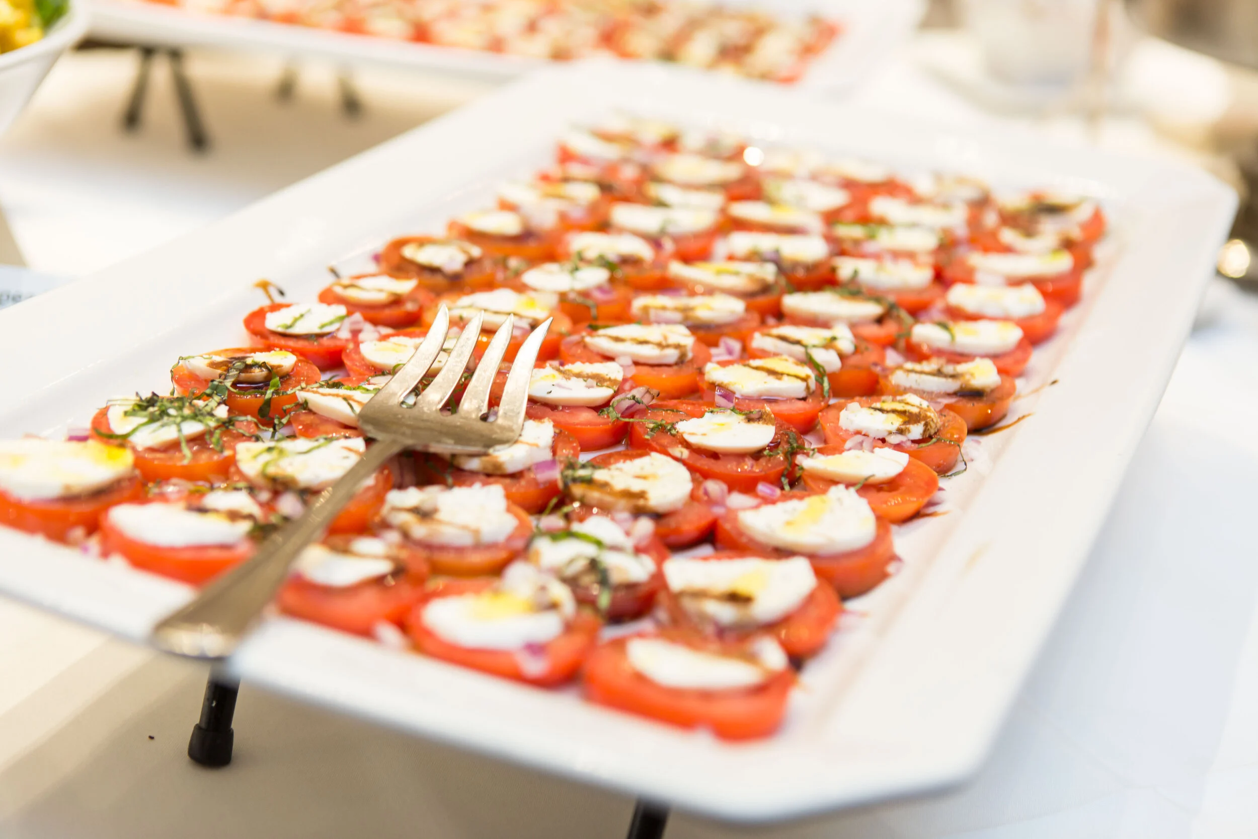 Physicians' Gala-124.JPG