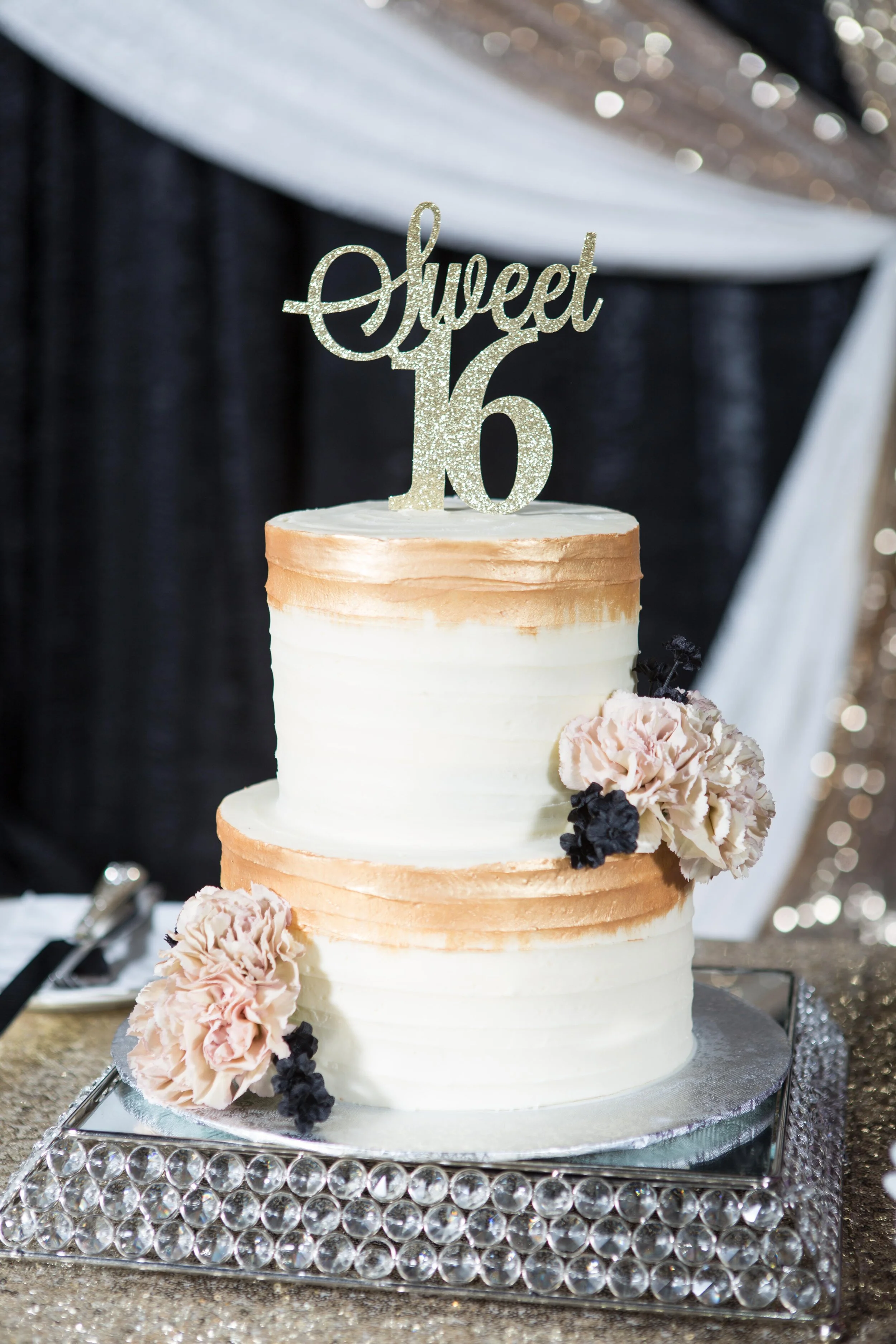 Alysha Sweet 16-59.JPG
