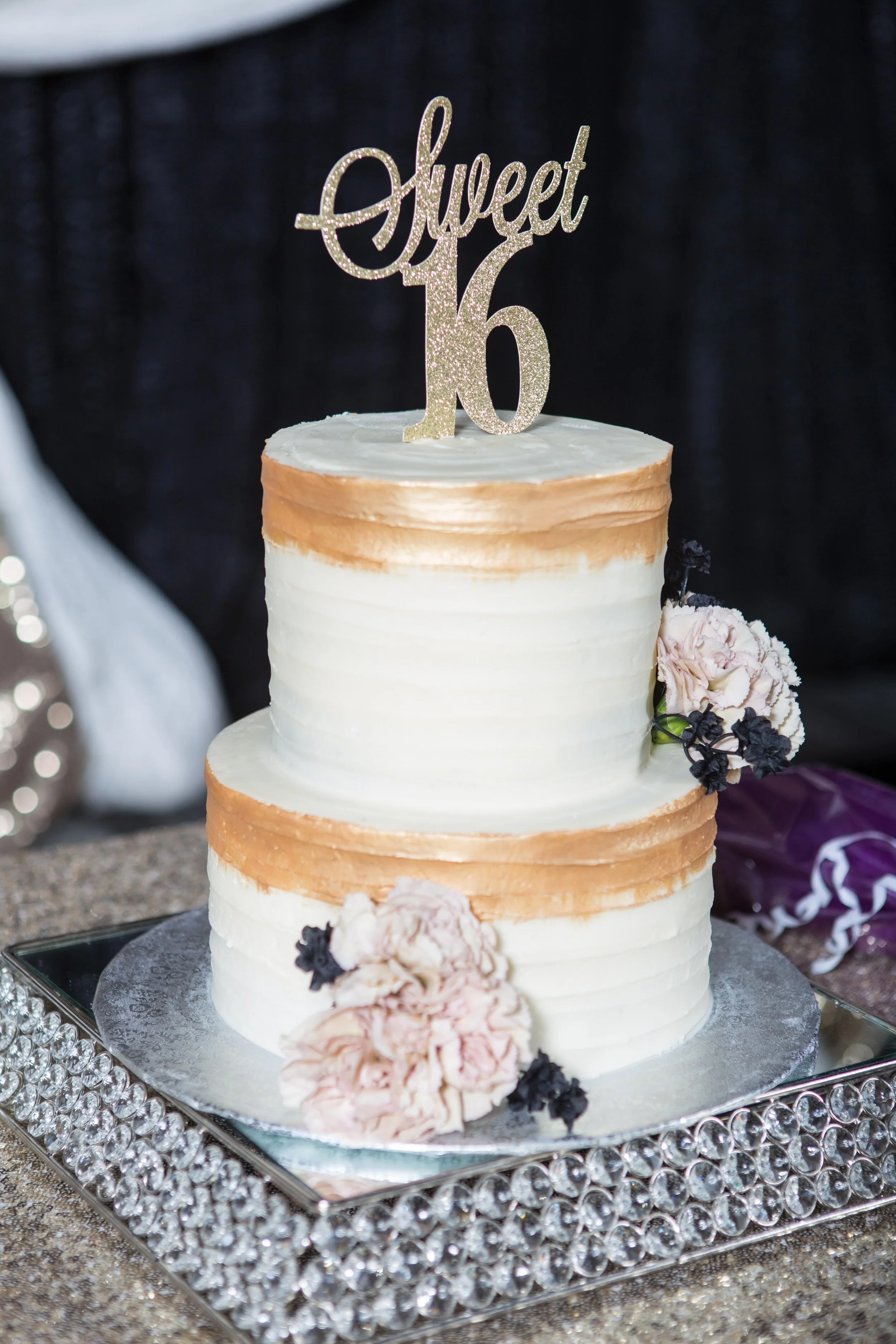 Alysha Sweet 16-60.JPG