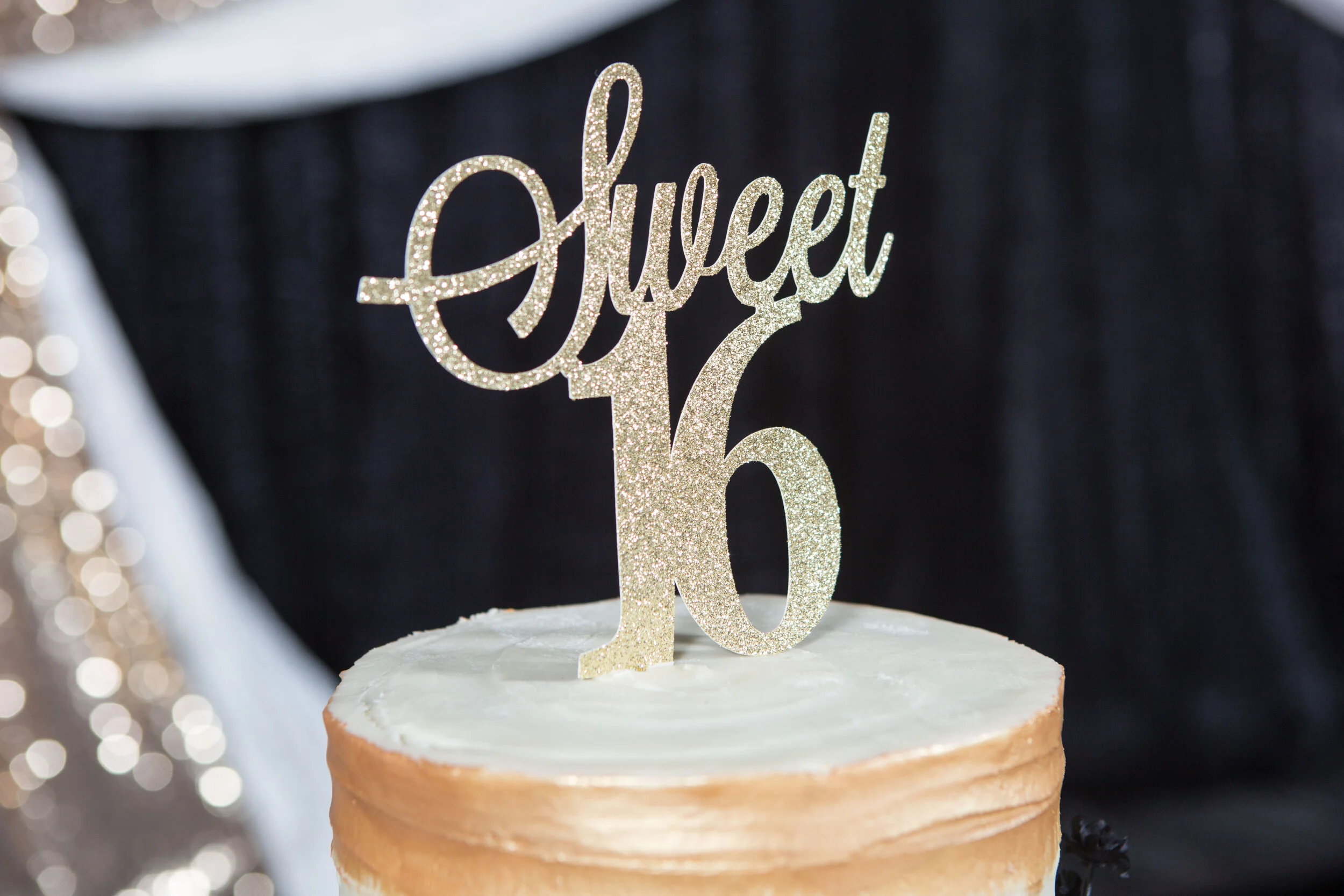 Alysha Sweet 16-61.JPG