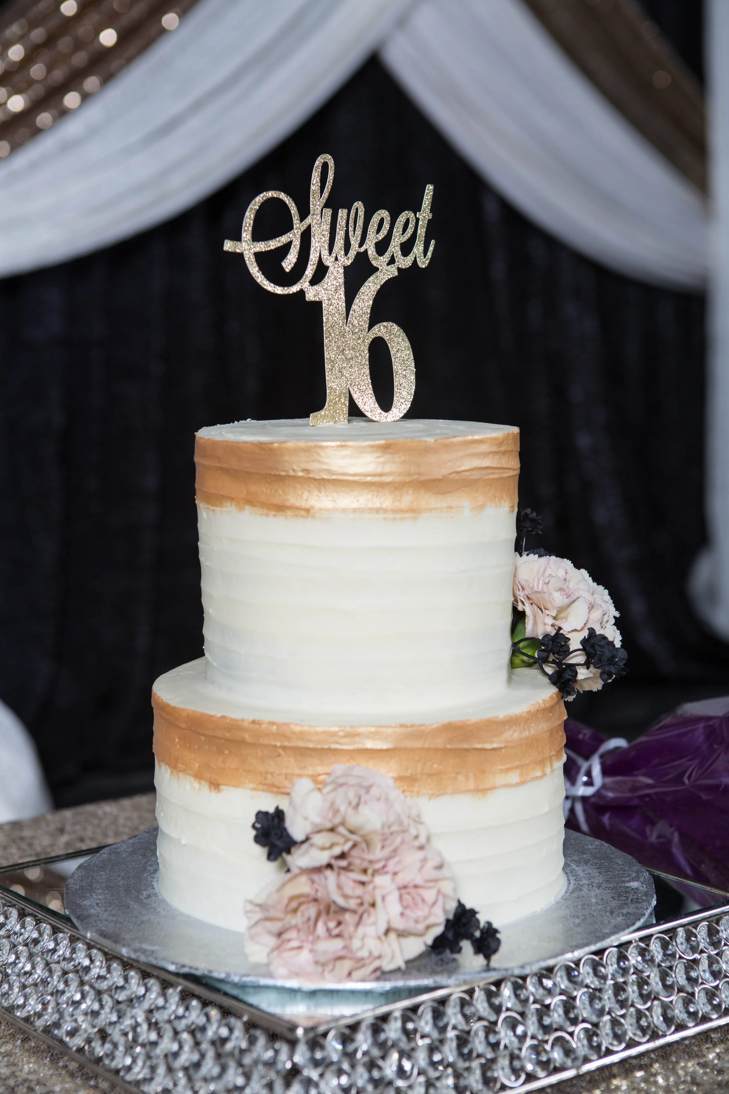 Alysha Sweet 16-63.JPG