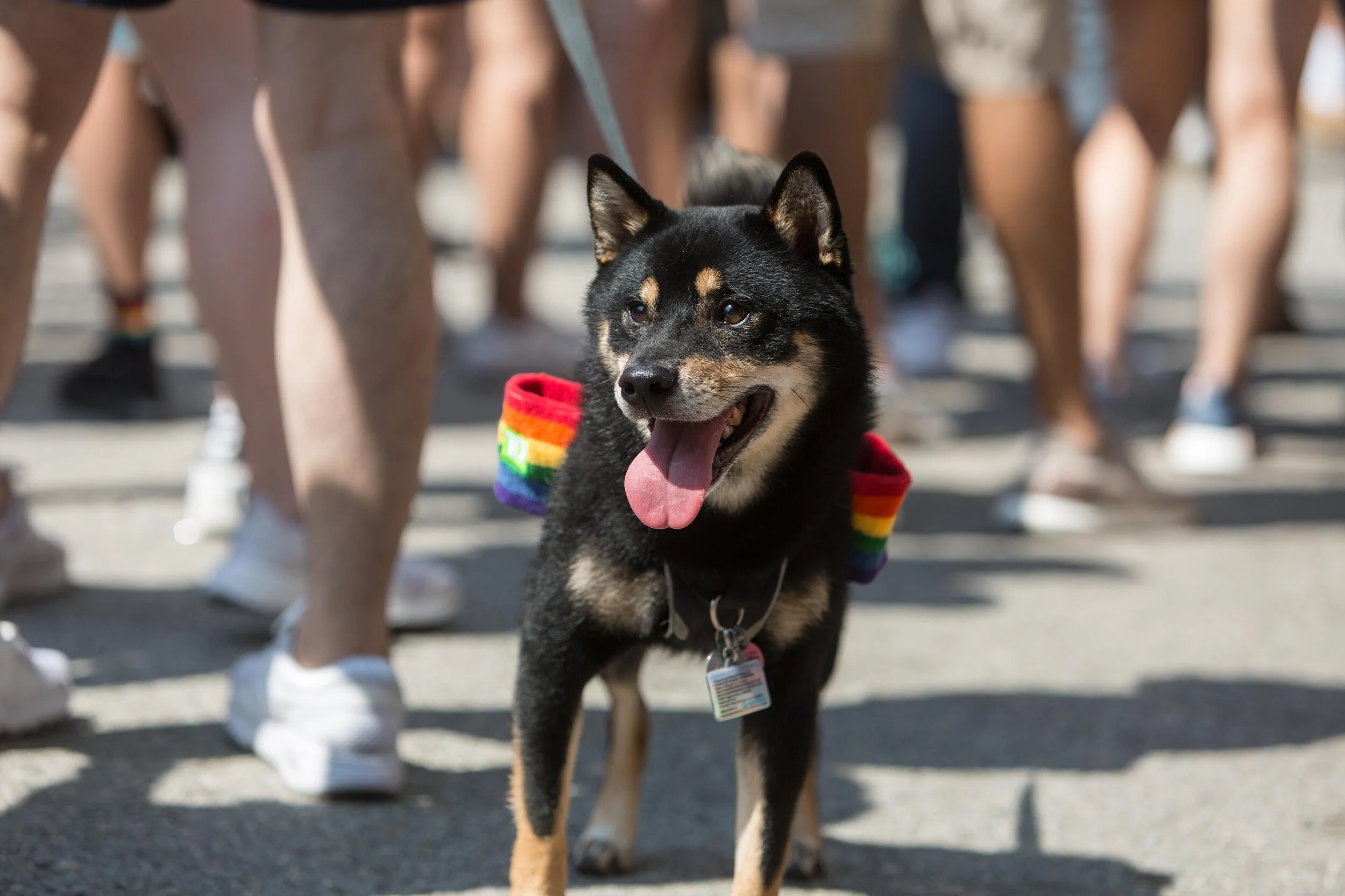Pride 2018-76.JPG