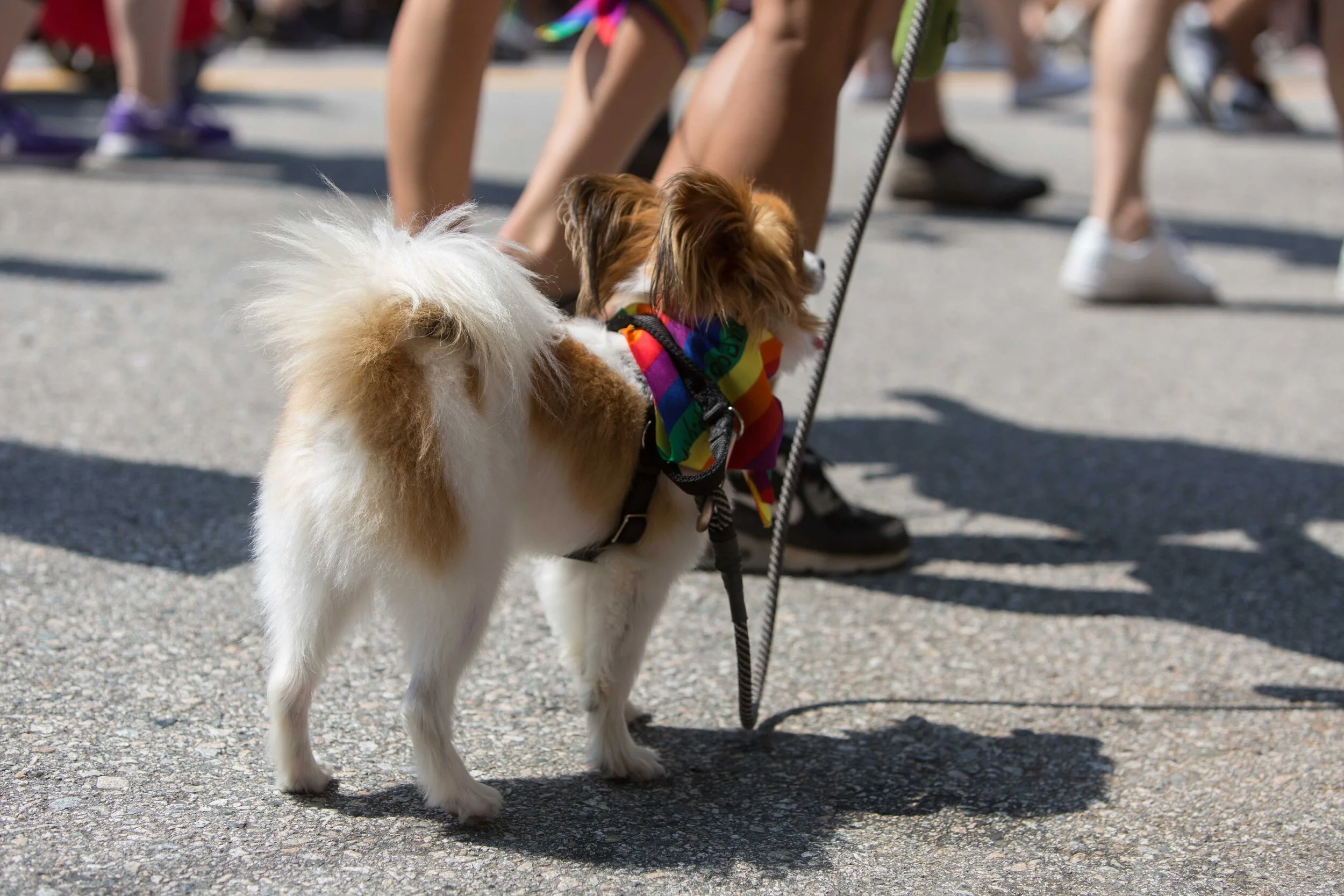 Pride 2018-111.JPG
