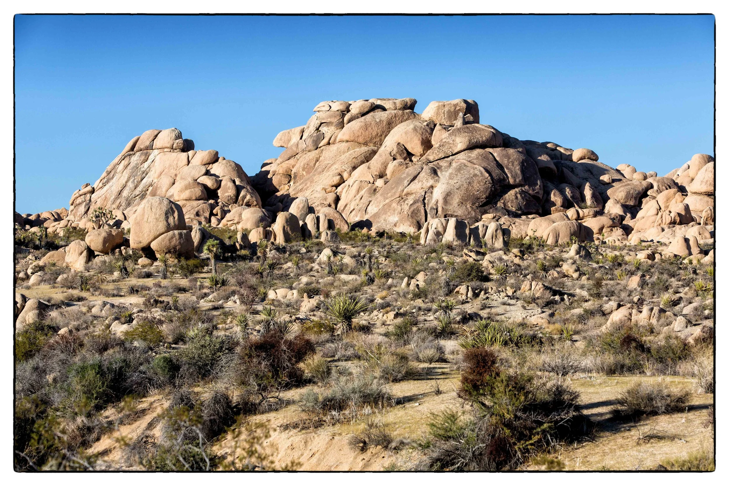 Palm Desert 2023-30.JPG