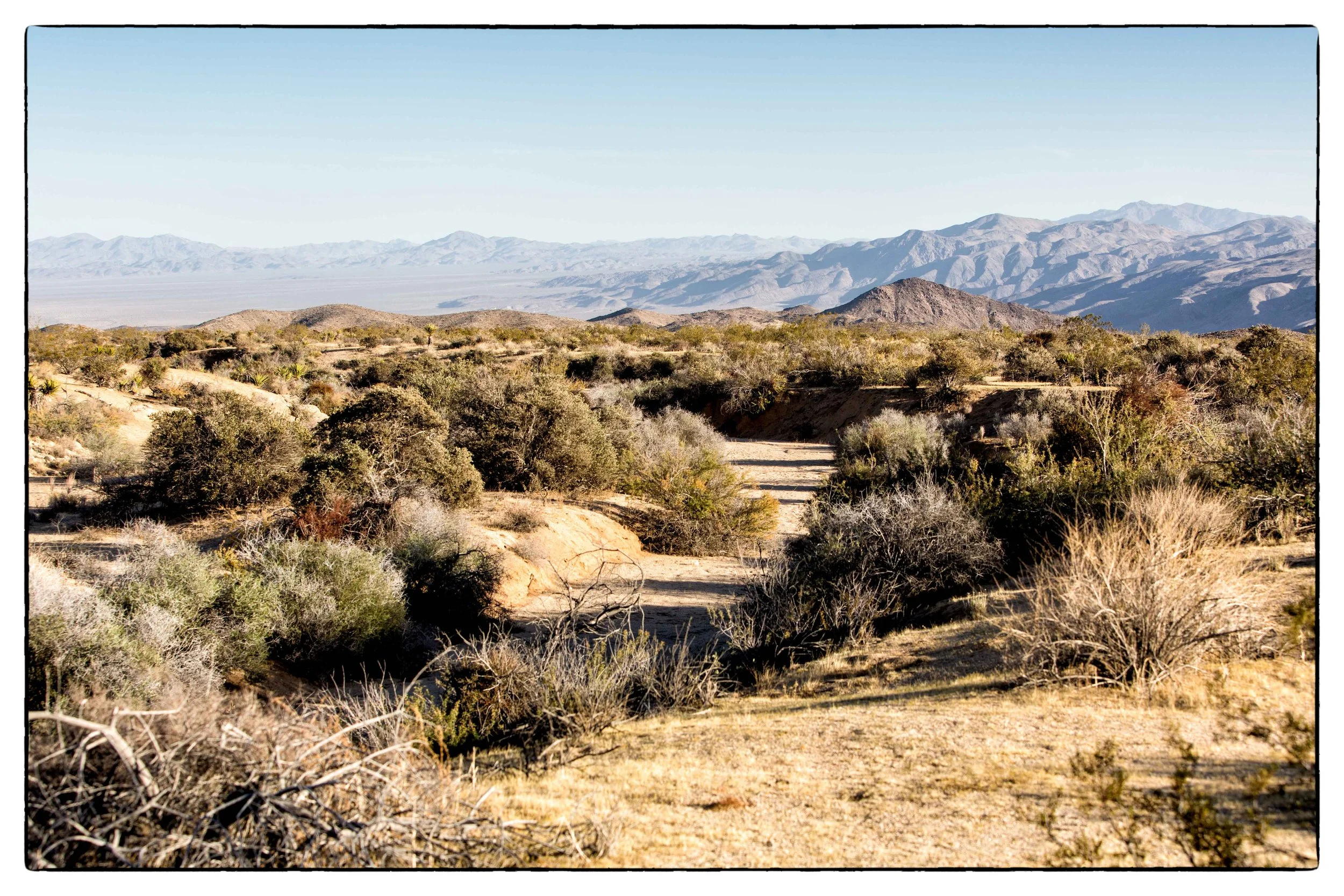 Palm Desert 2023-31.JPG