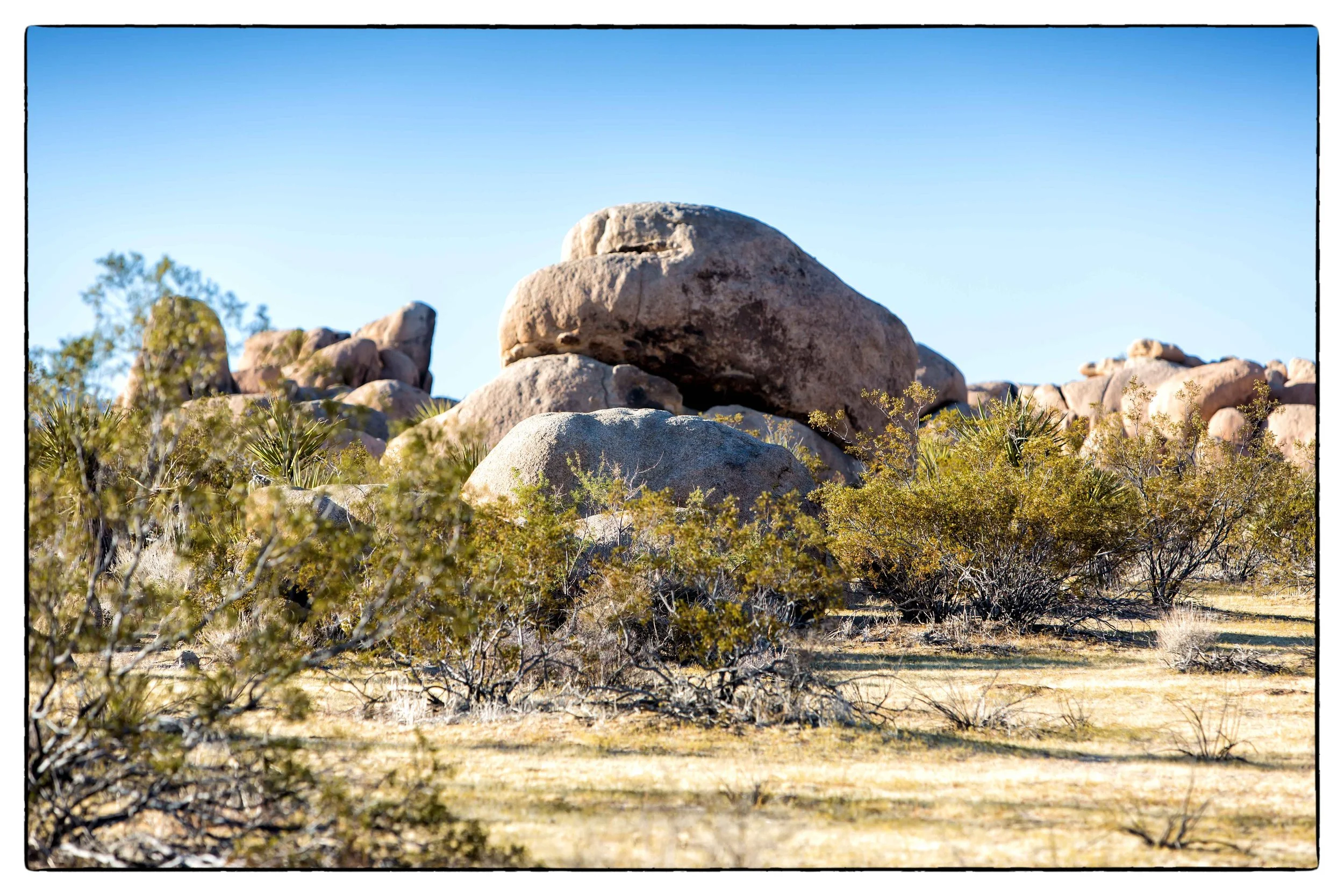 Palm Desert 2023-32.JPG