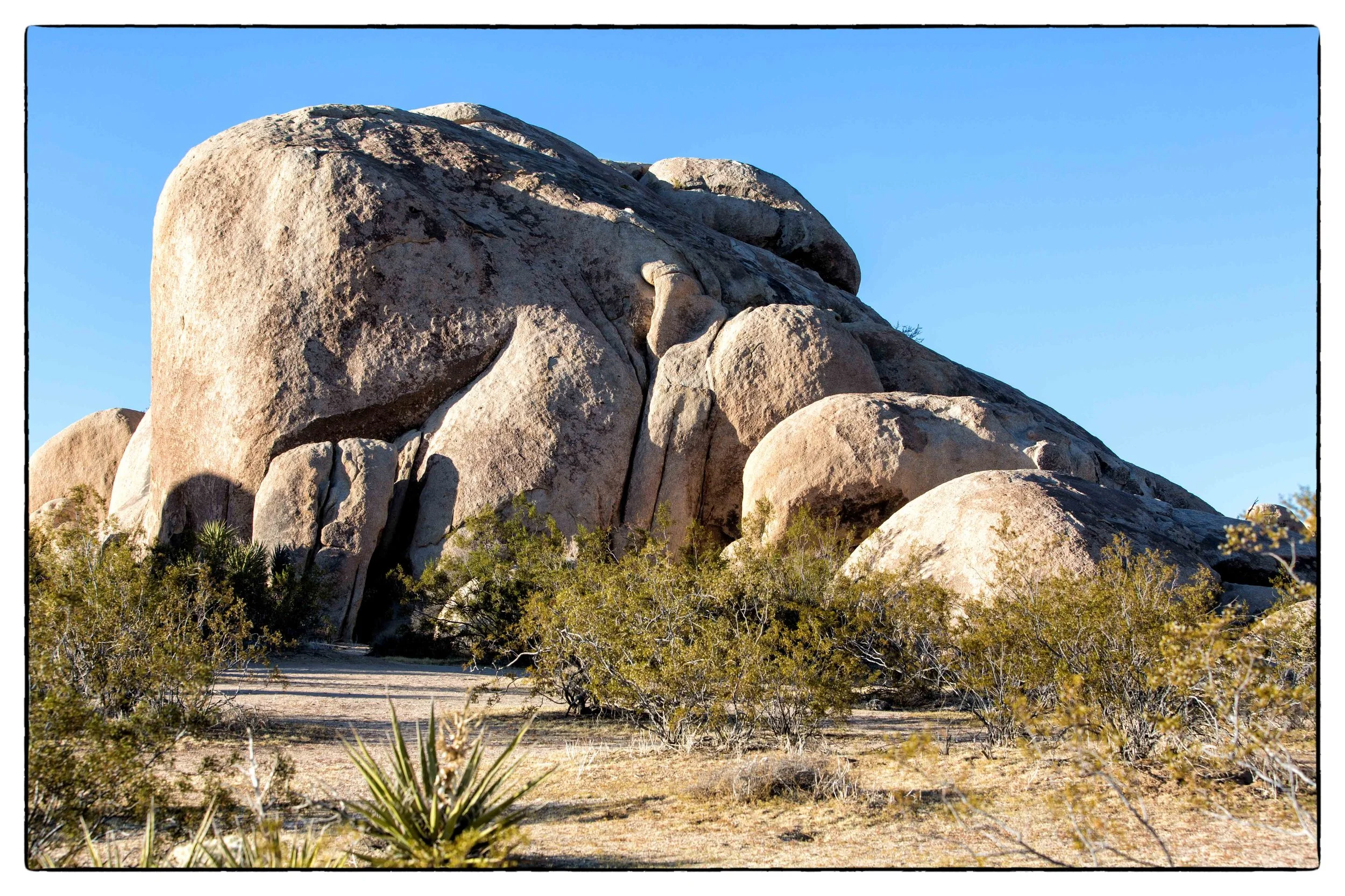 Palm Desert 2023-37.JPG