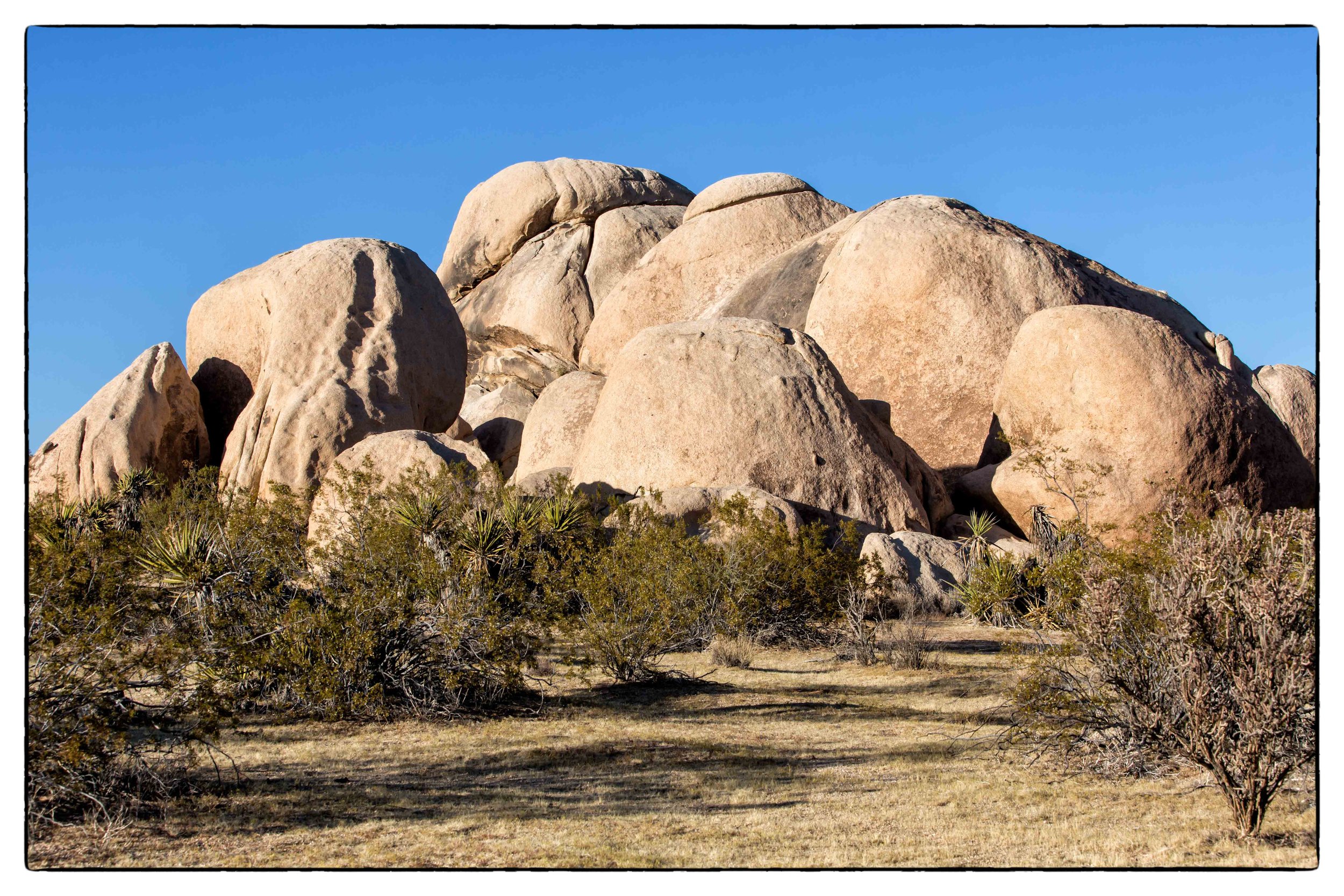 Palm Desert 2023-38.JPG