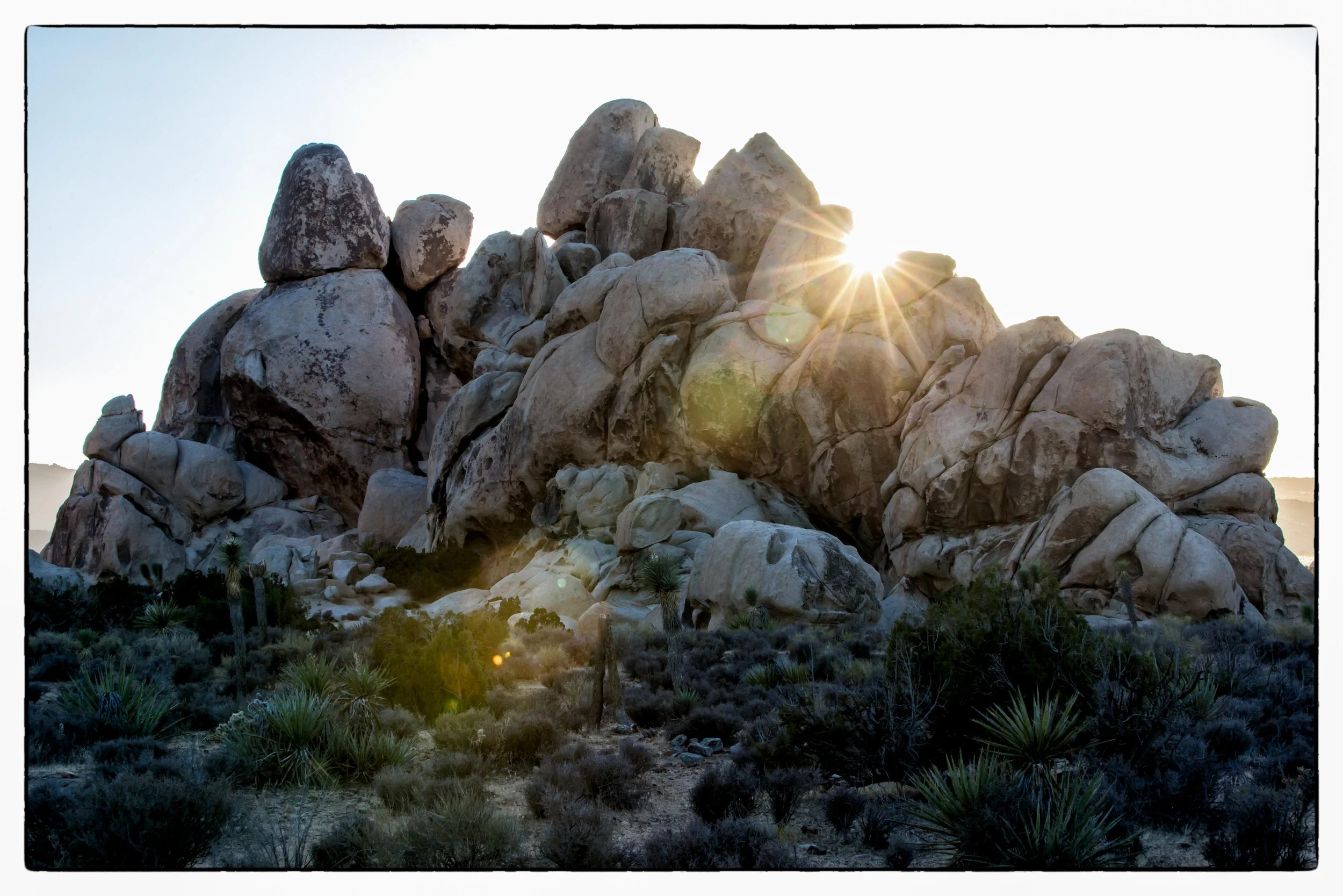 Palm Desert 2023-47.JPG