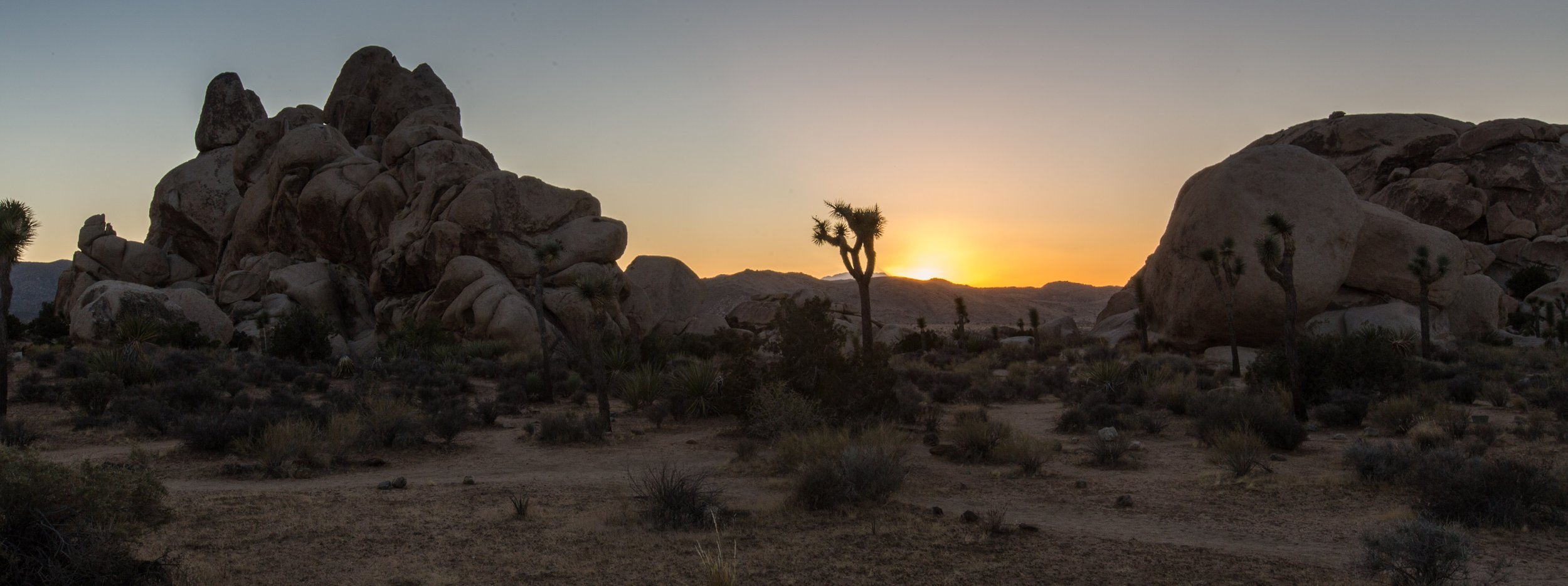 Palm Desert 2023-53.JPG