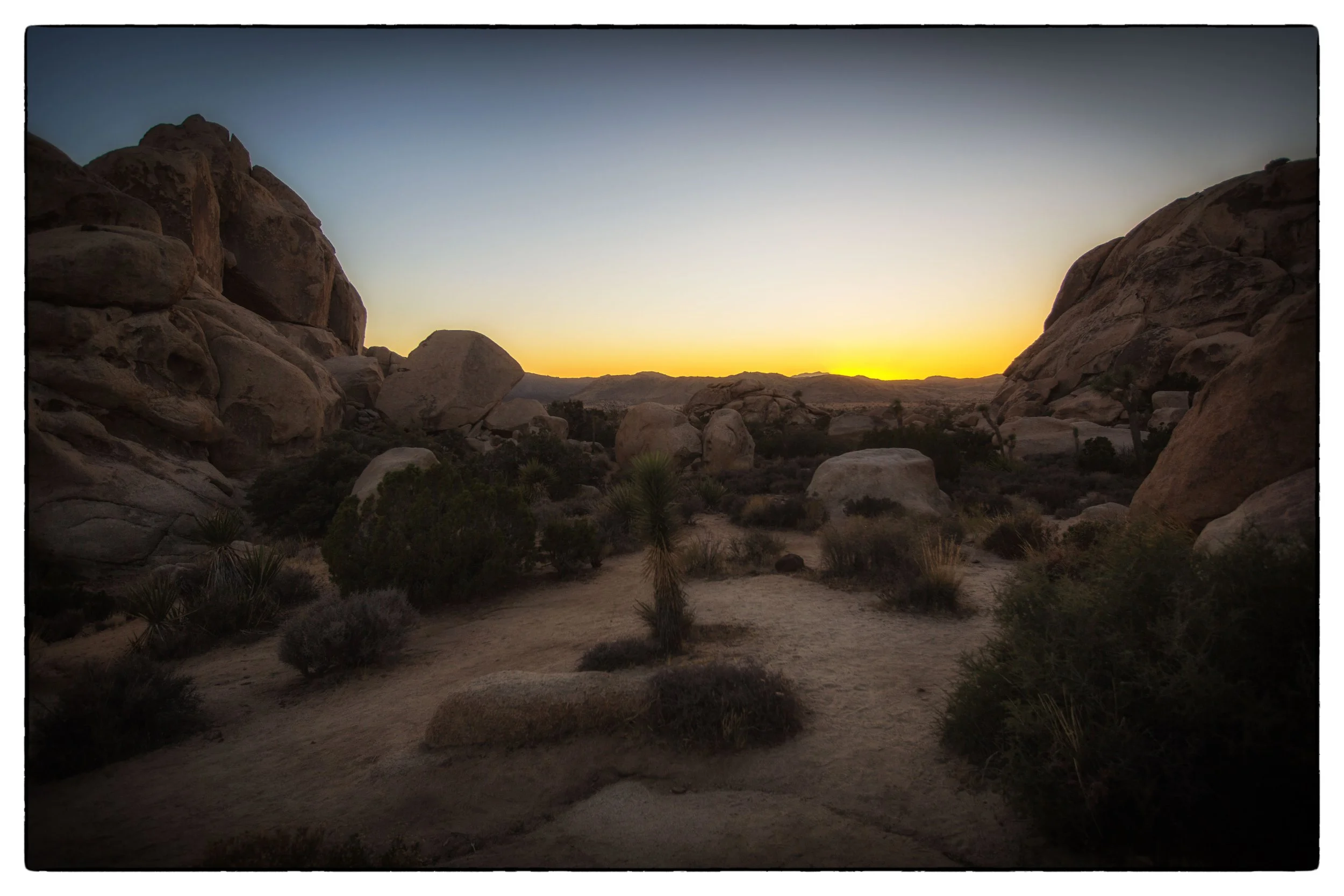 Palm Desert 2023-55.JPG