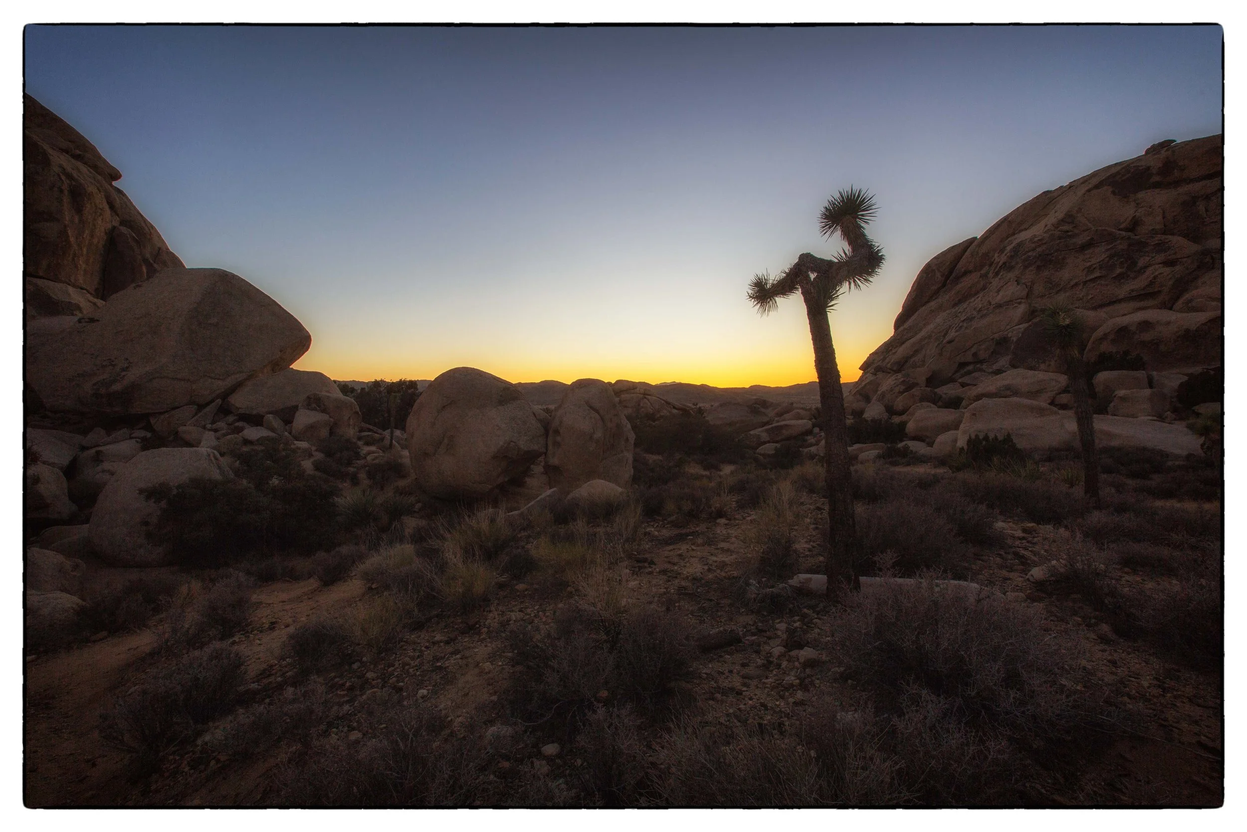 Palm Desert 2023-56.JPG